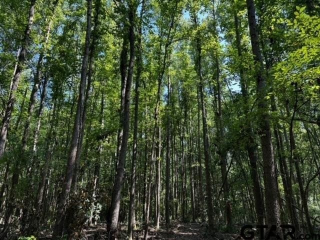 18.36 acres in Van Zandt County