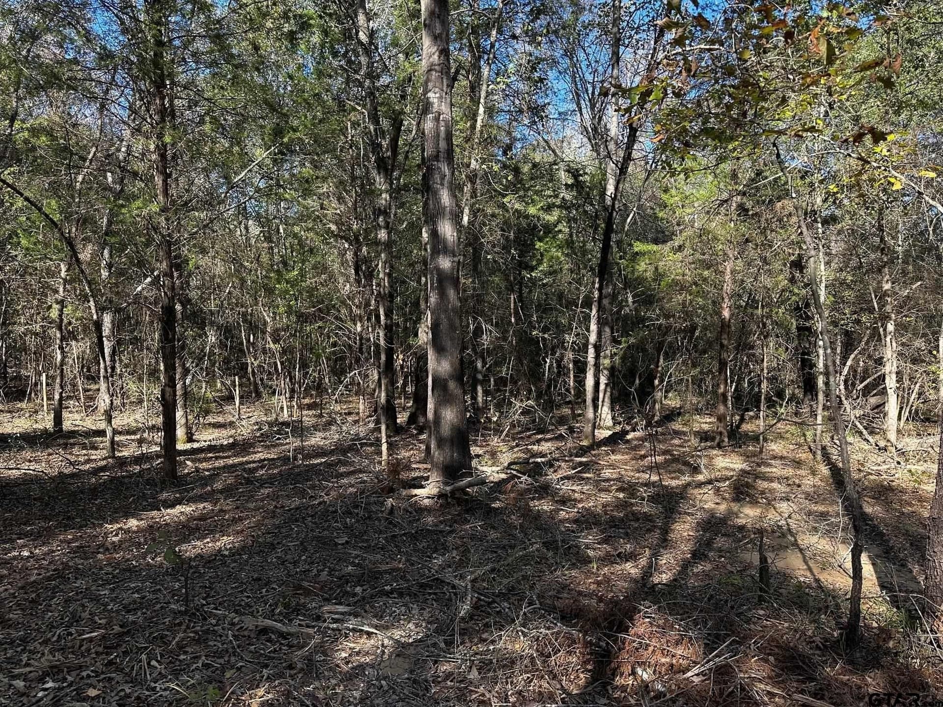 18.36 acres in Van Zandt County - photo 7