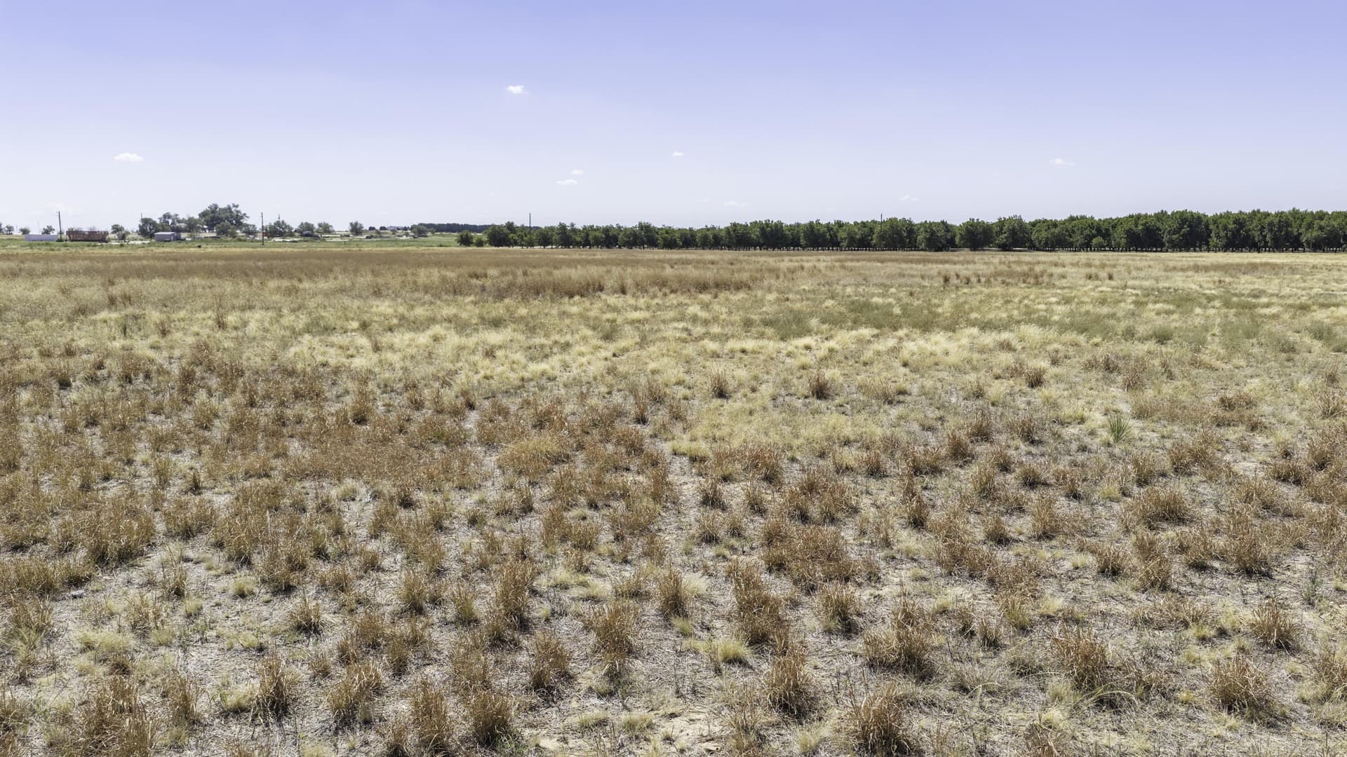 16 acres in Lubbock County - photo 9