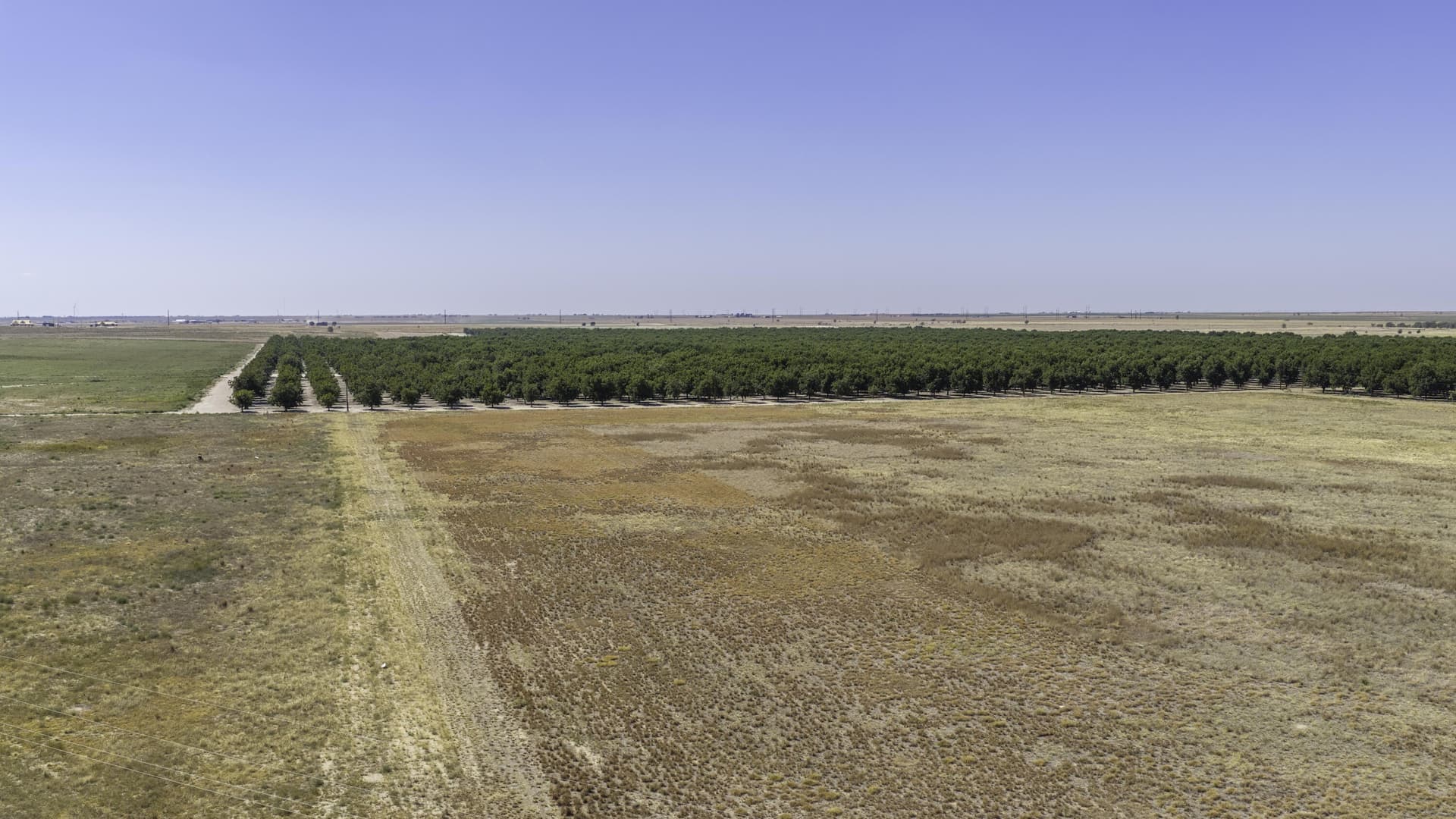 16 acres in Lubbock County - photo 2