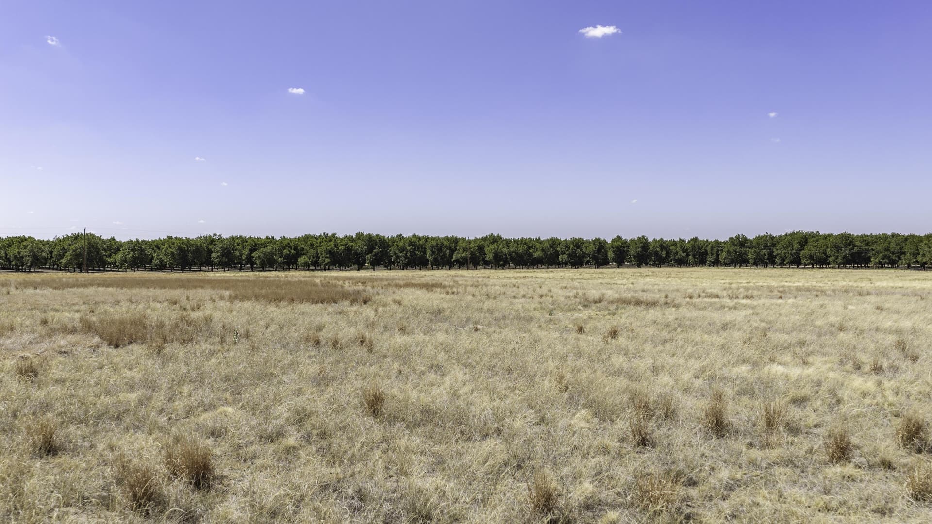 16 acres in Lubbock County - photo 11