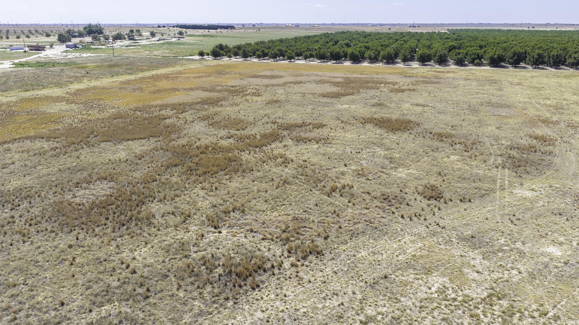 16 acres in Lubbock County - photo 8