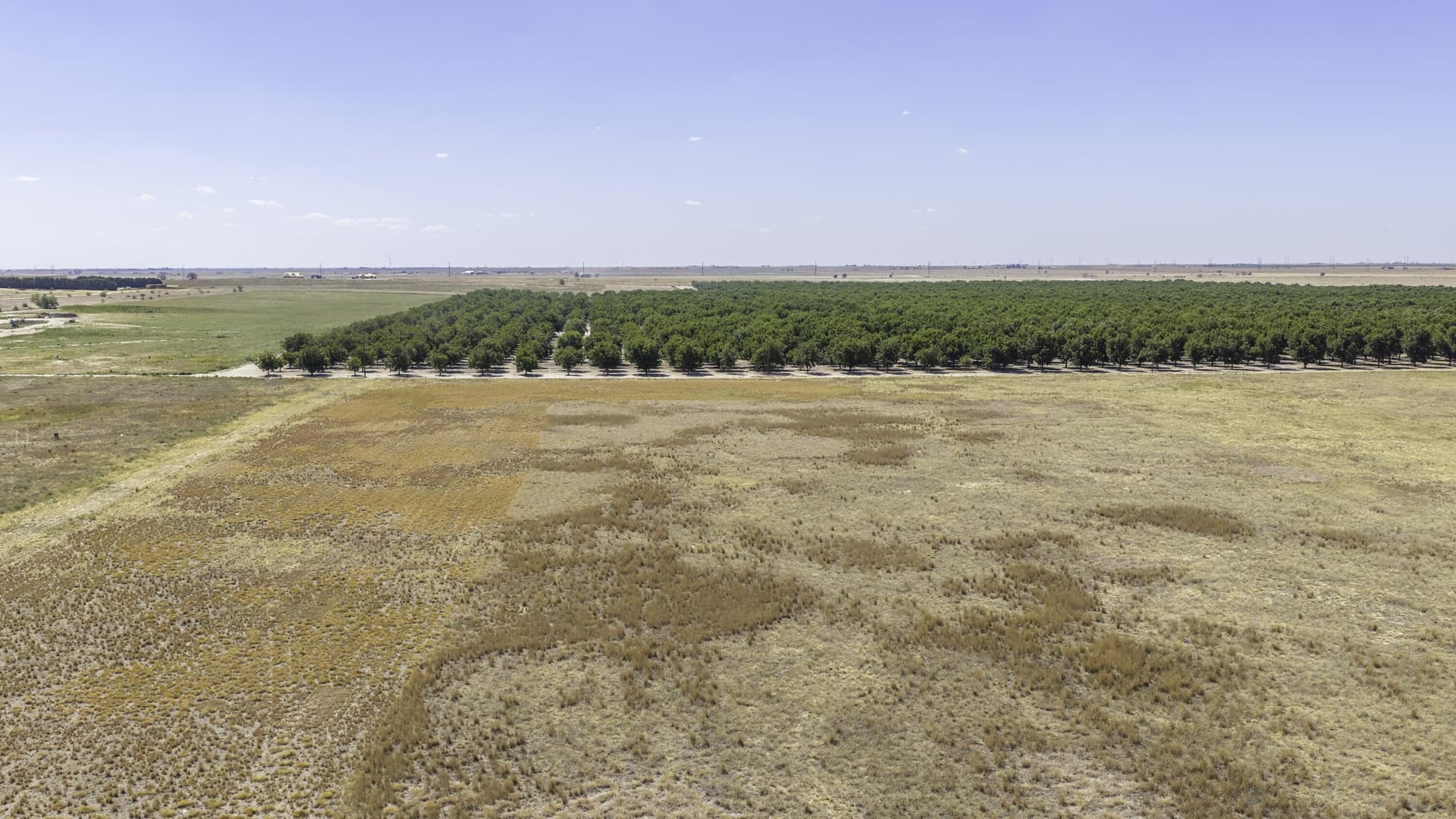 16 acres in Lubbock County - photo 12