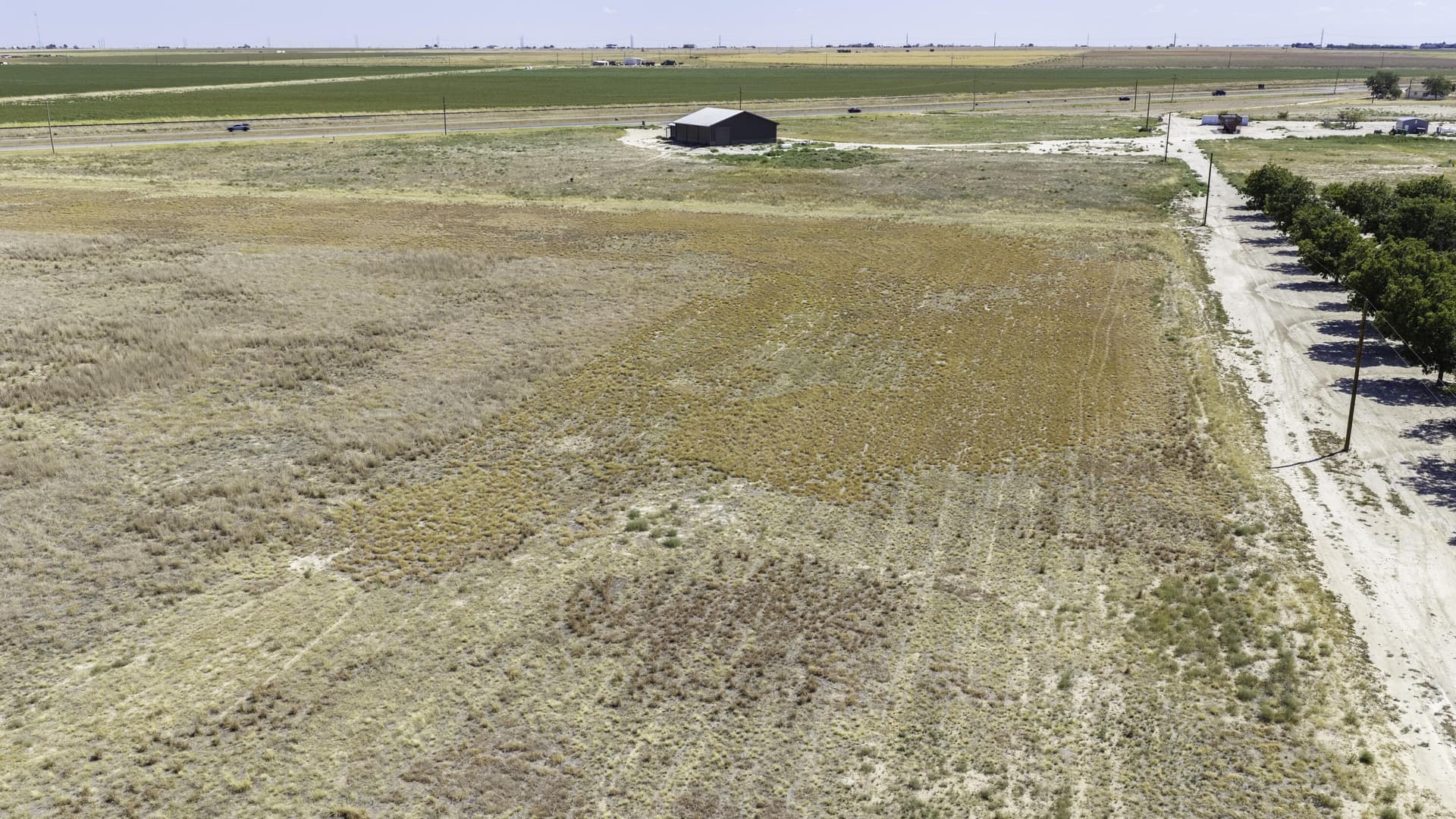 16 acres in Lubbock County - photo 5