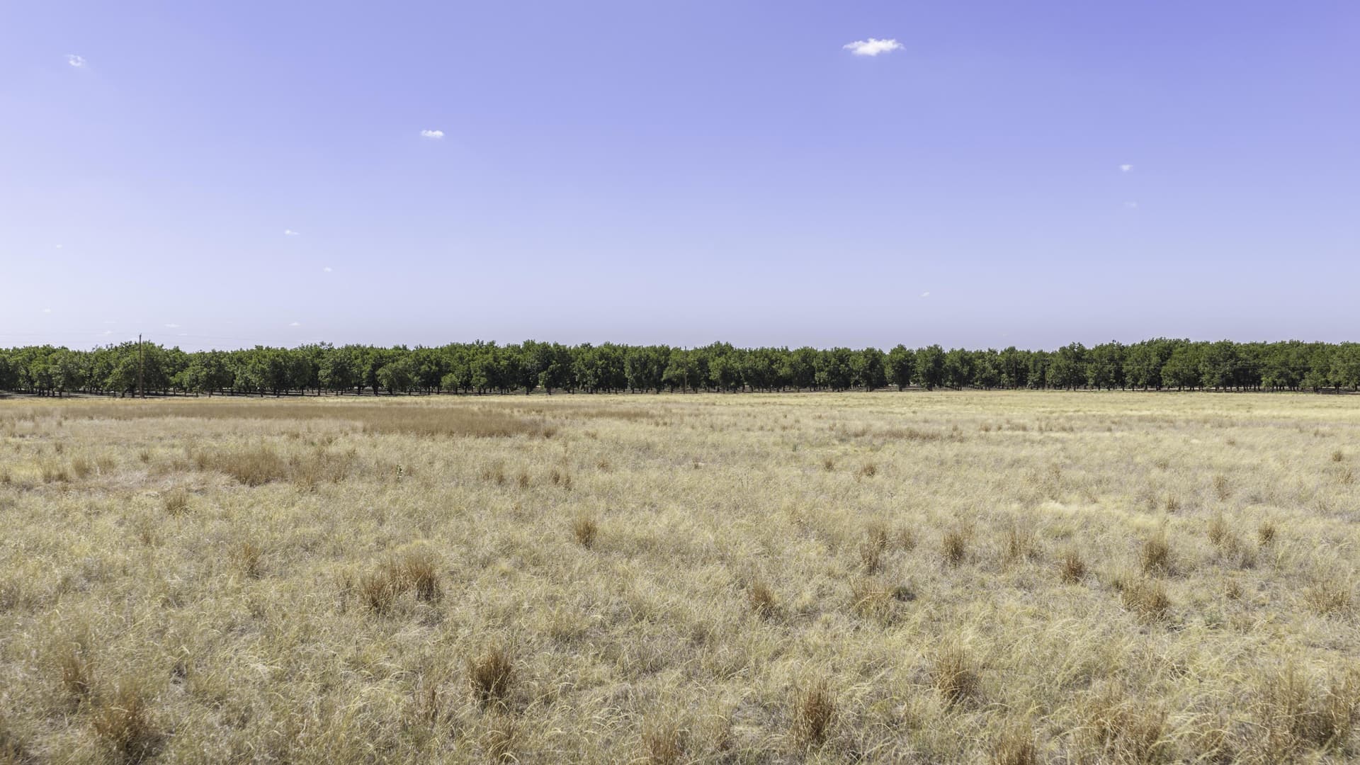16 acres in Lubbock County - photo 10