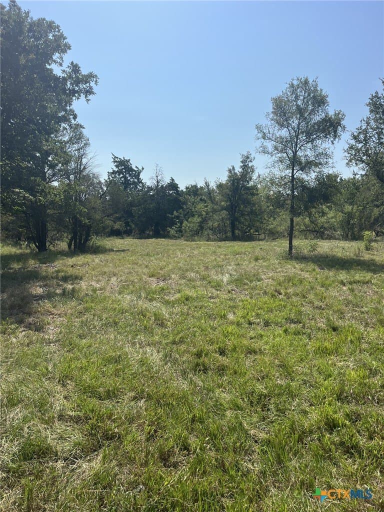 21.69 acres in Milam County featured view