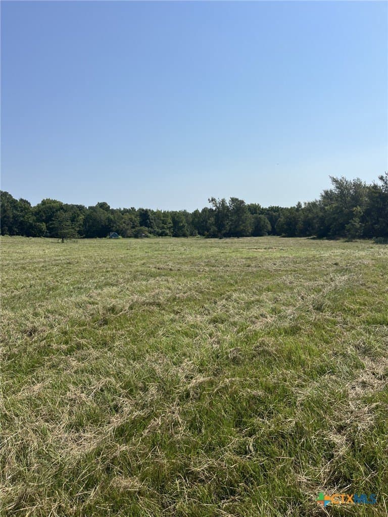 21.69 acres in Milam County gallery image 3