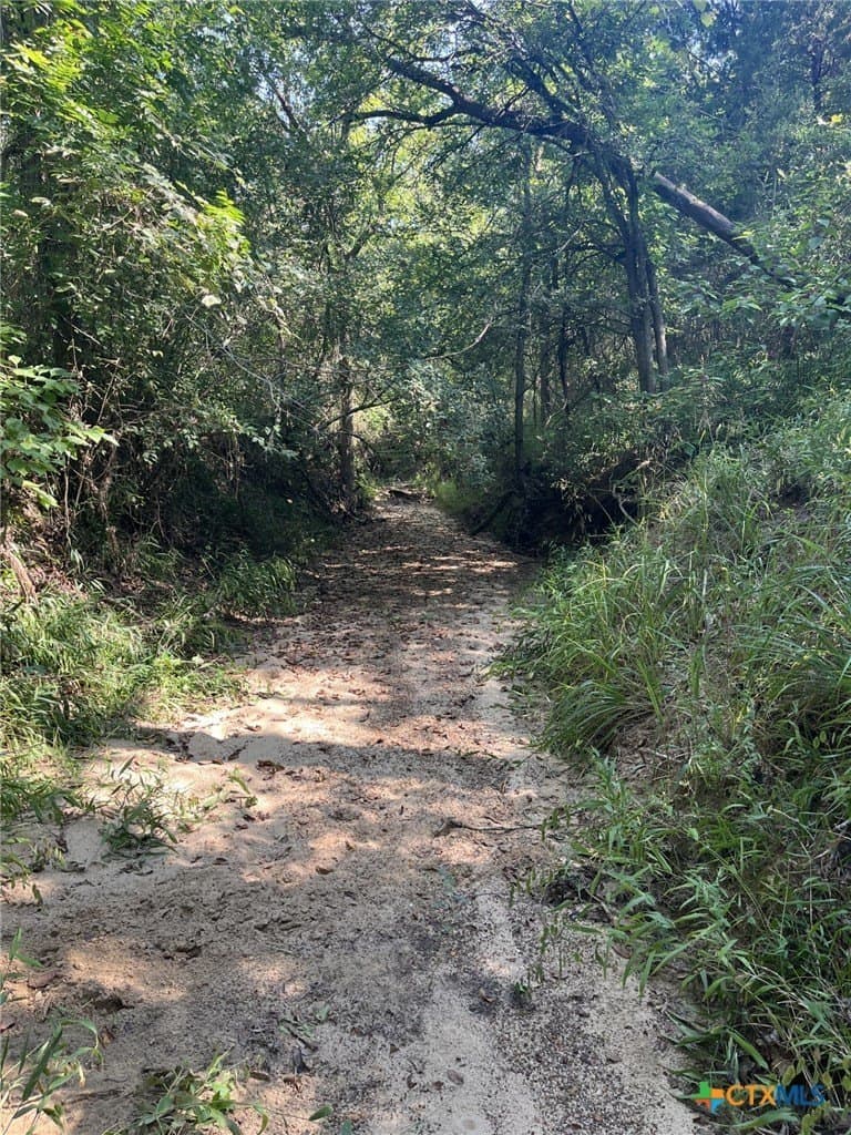 21.69 acres in Milam County gallery image 4