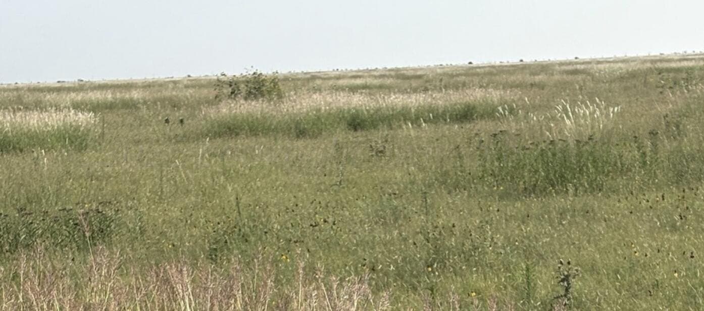 402 acres in Deaf Smith County featured view