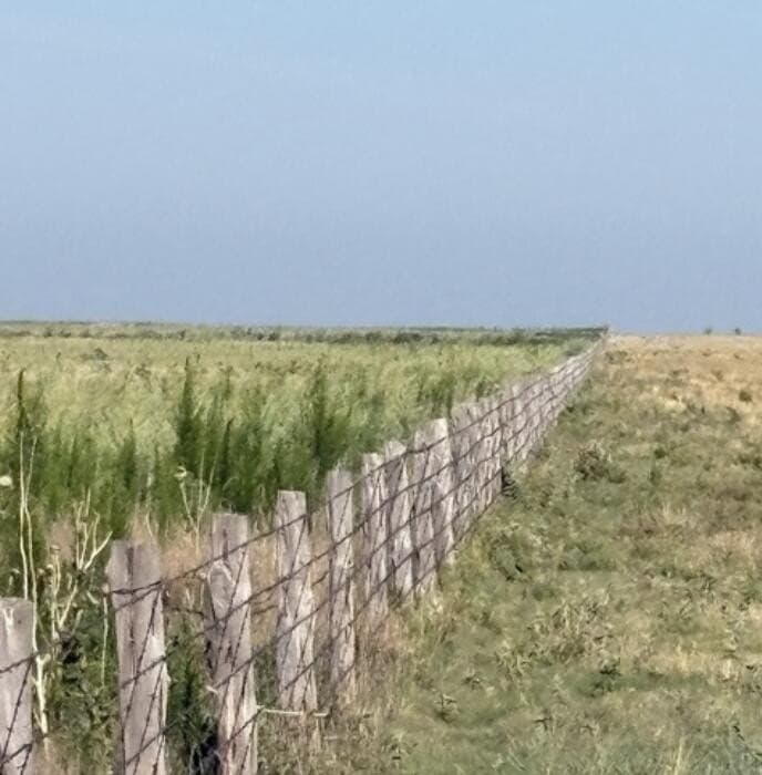 402 acres in Deaf Smith County gallery image 3