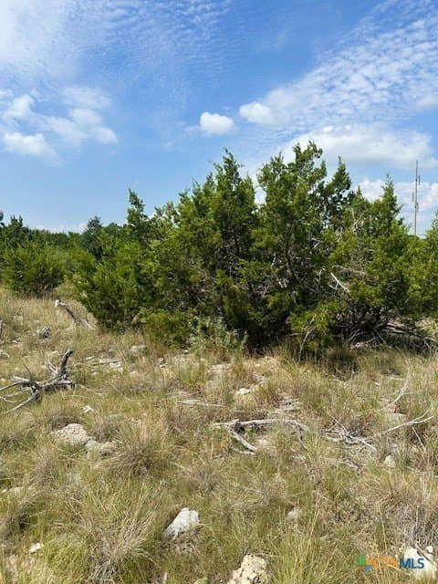 1.28 acres in Comal County gallery image 4