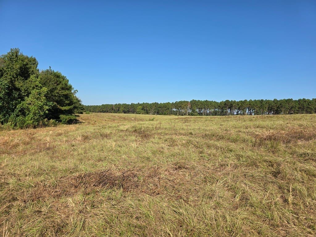 89.81 acres in Texas County - photo 39
