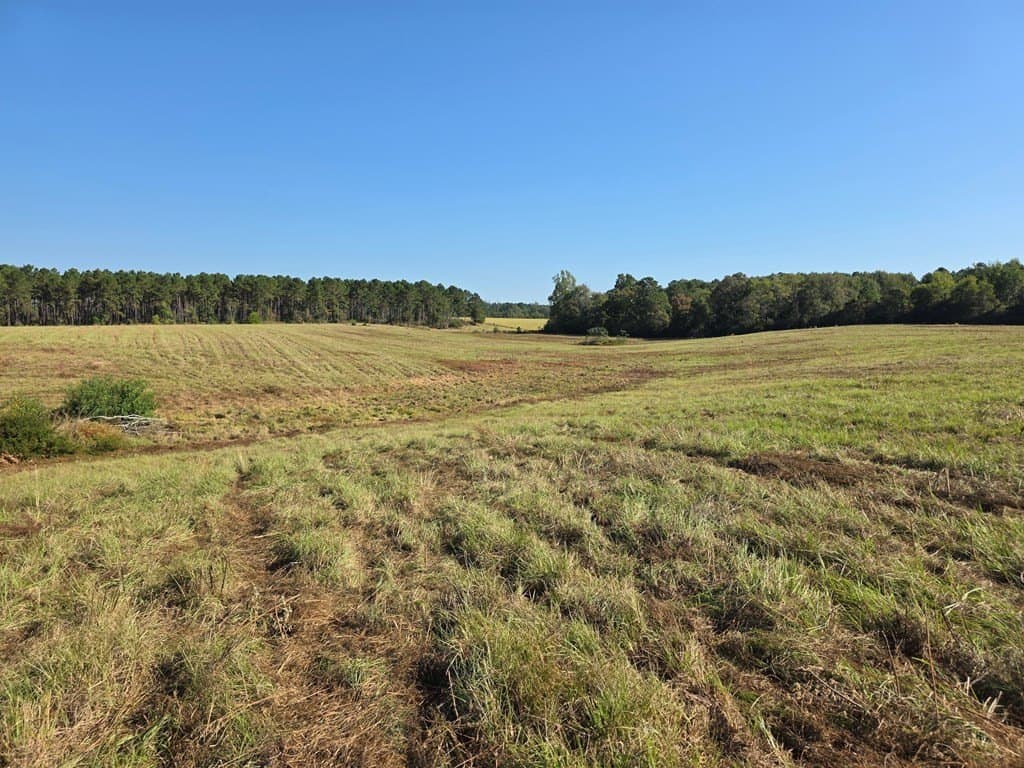 89.81 acres in Texas County - photo 13