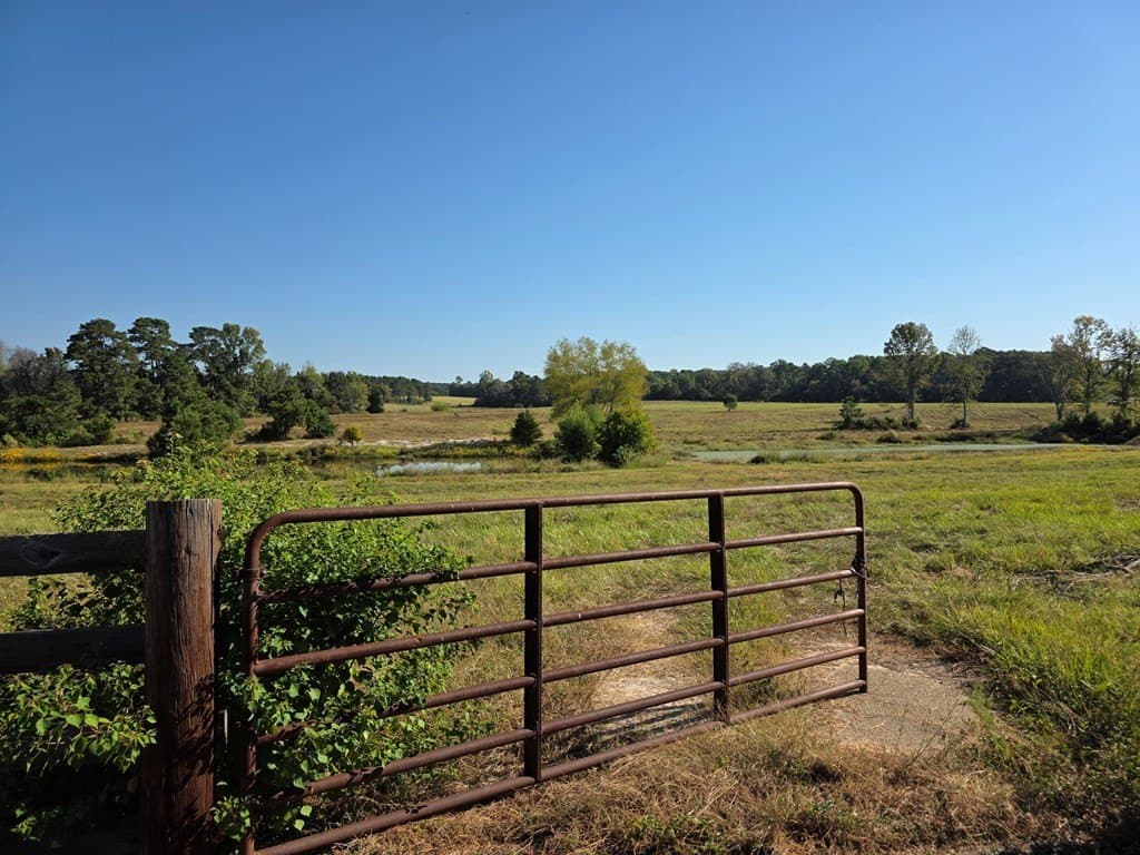 89.81 acres in Texas County - photo 37