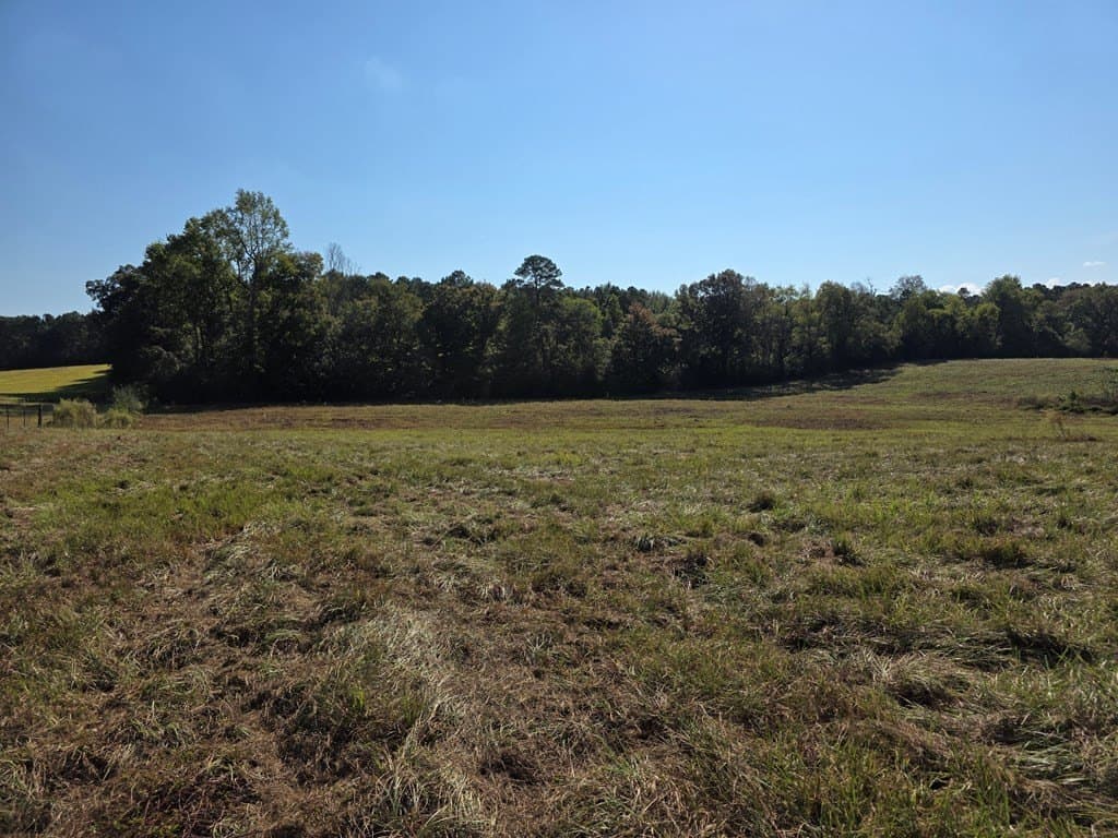 89.81 acres in Texas County - photo 43