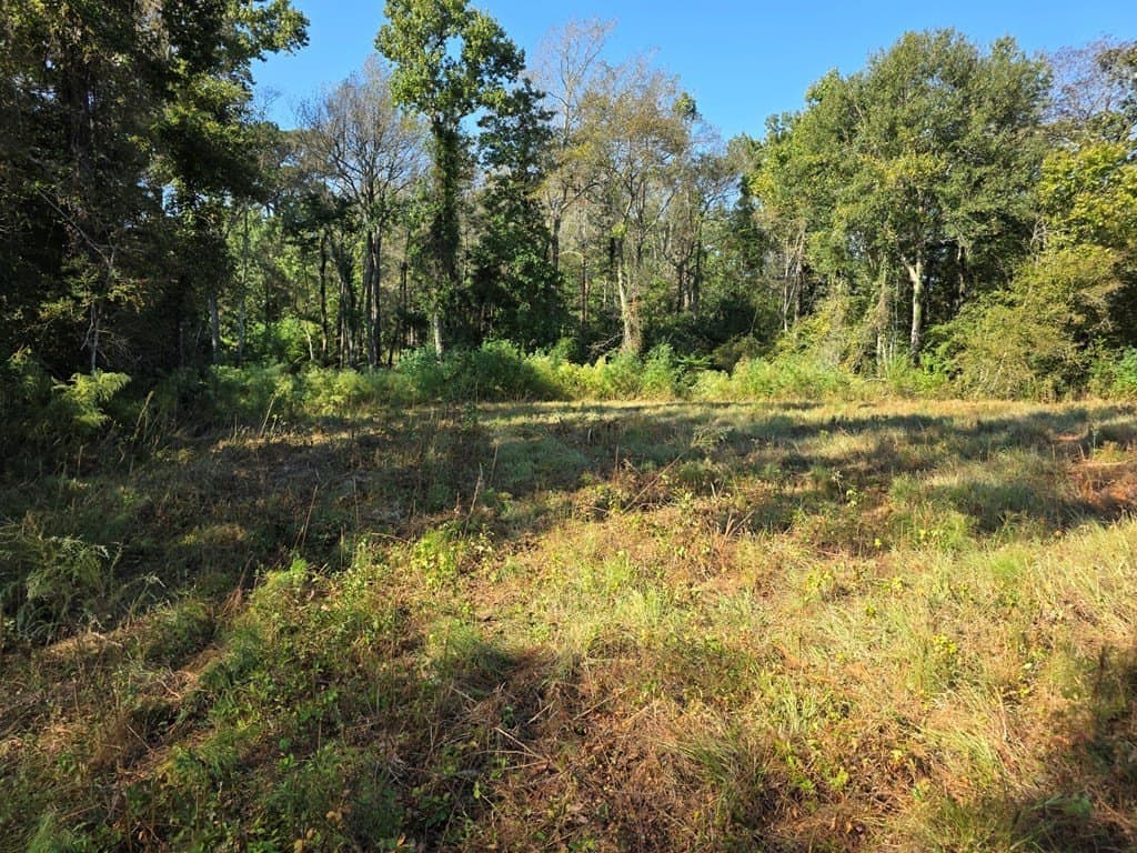 89.81 acres in Texas County - photo 40