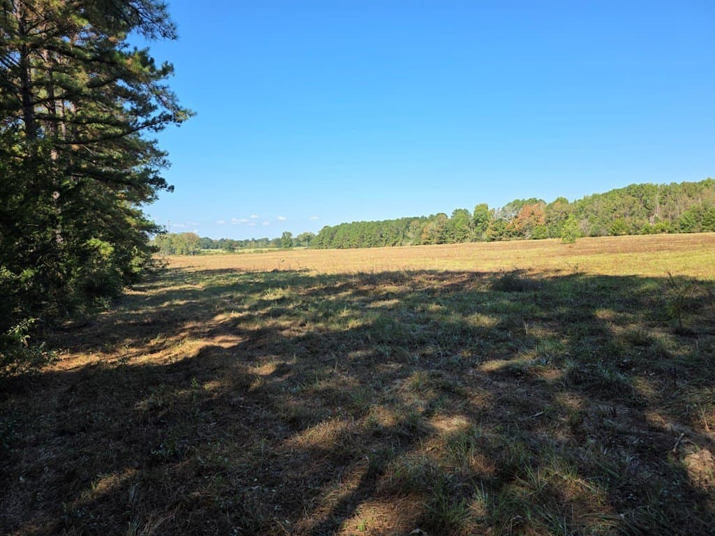 89.81 acres in Texas County - photo 46