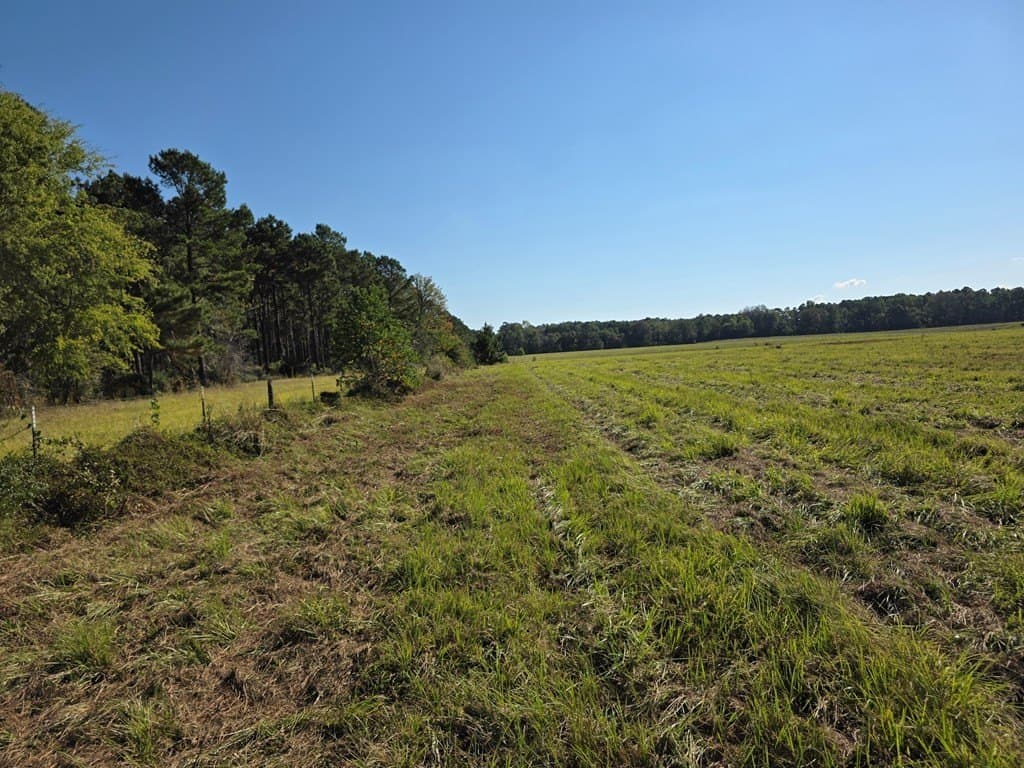 89.81 acres in Texas County - photo 42