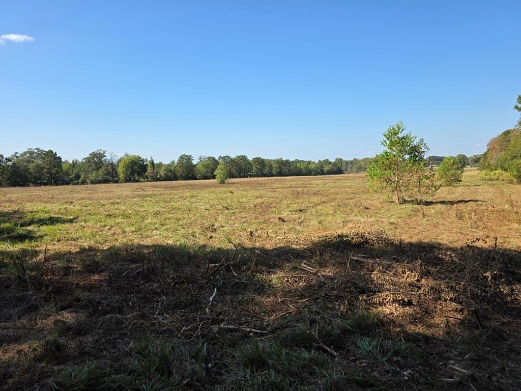 89.81 acres in Texas County - photo 44