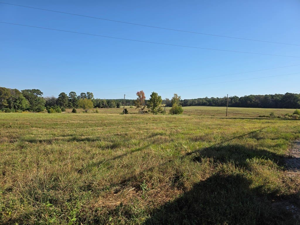 89.81 acres in Texas County - photo 45