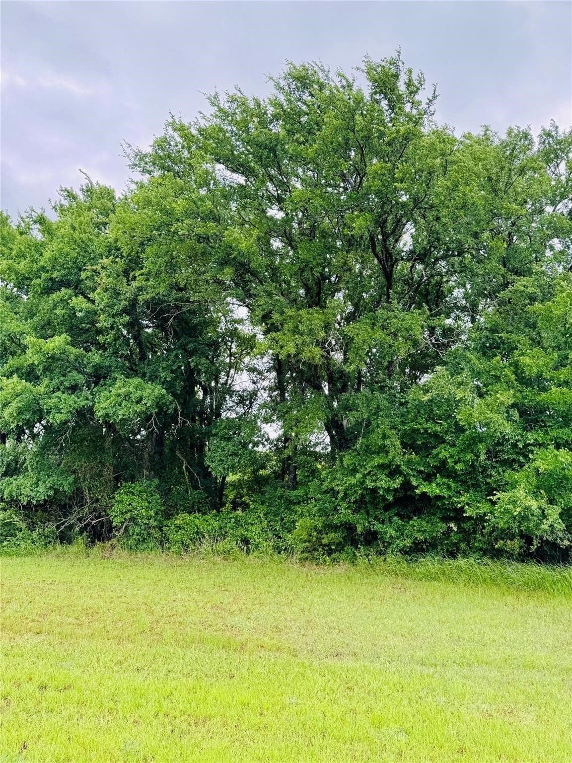 0.52 acres in Hill County
