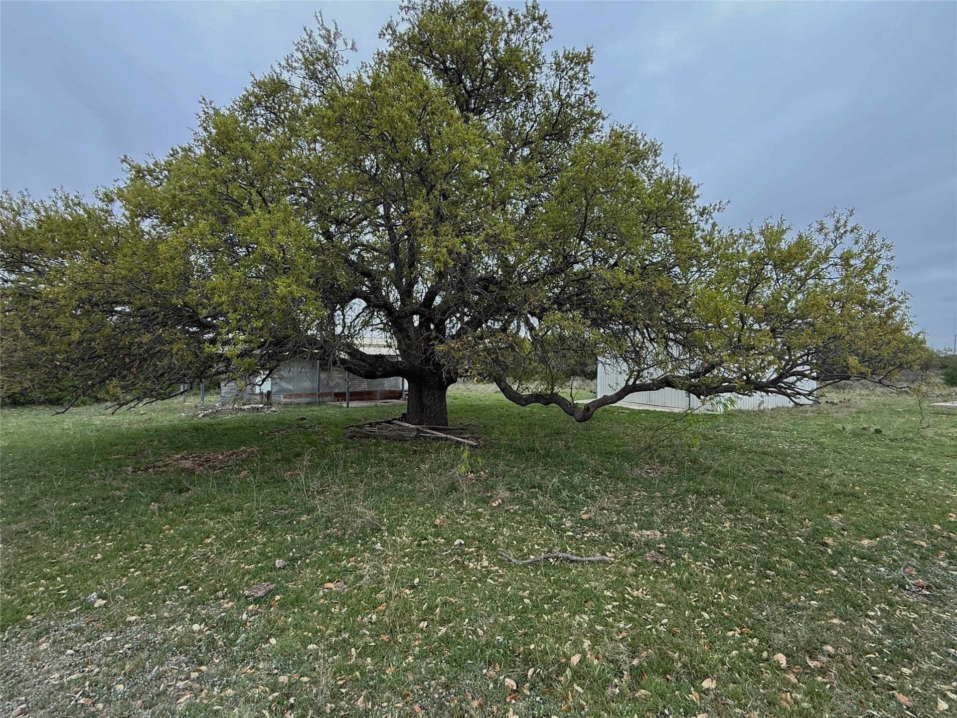 121.2 acres in Eastland County - photo 4