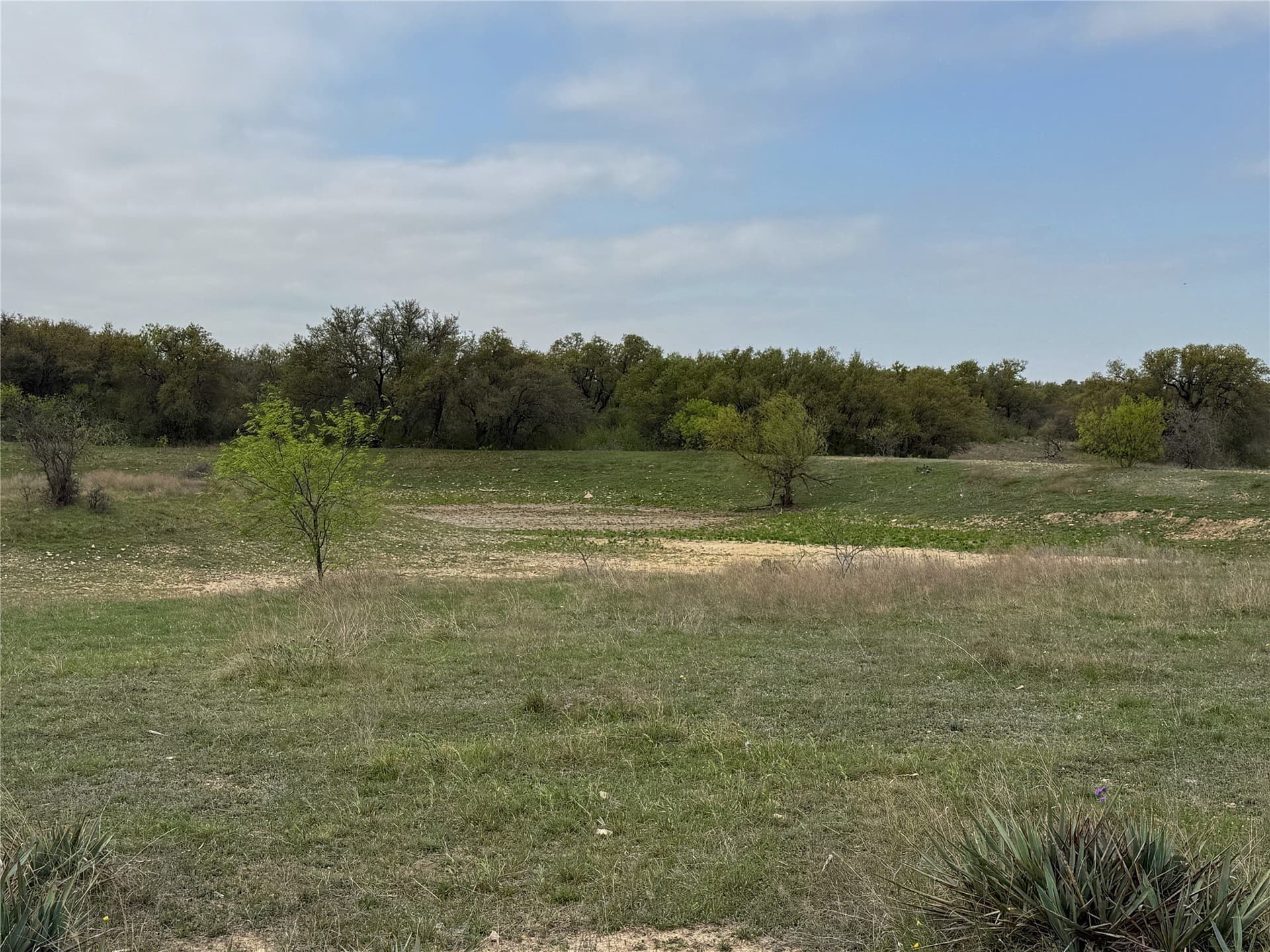 121.2 acres in Eastland County - photo 21