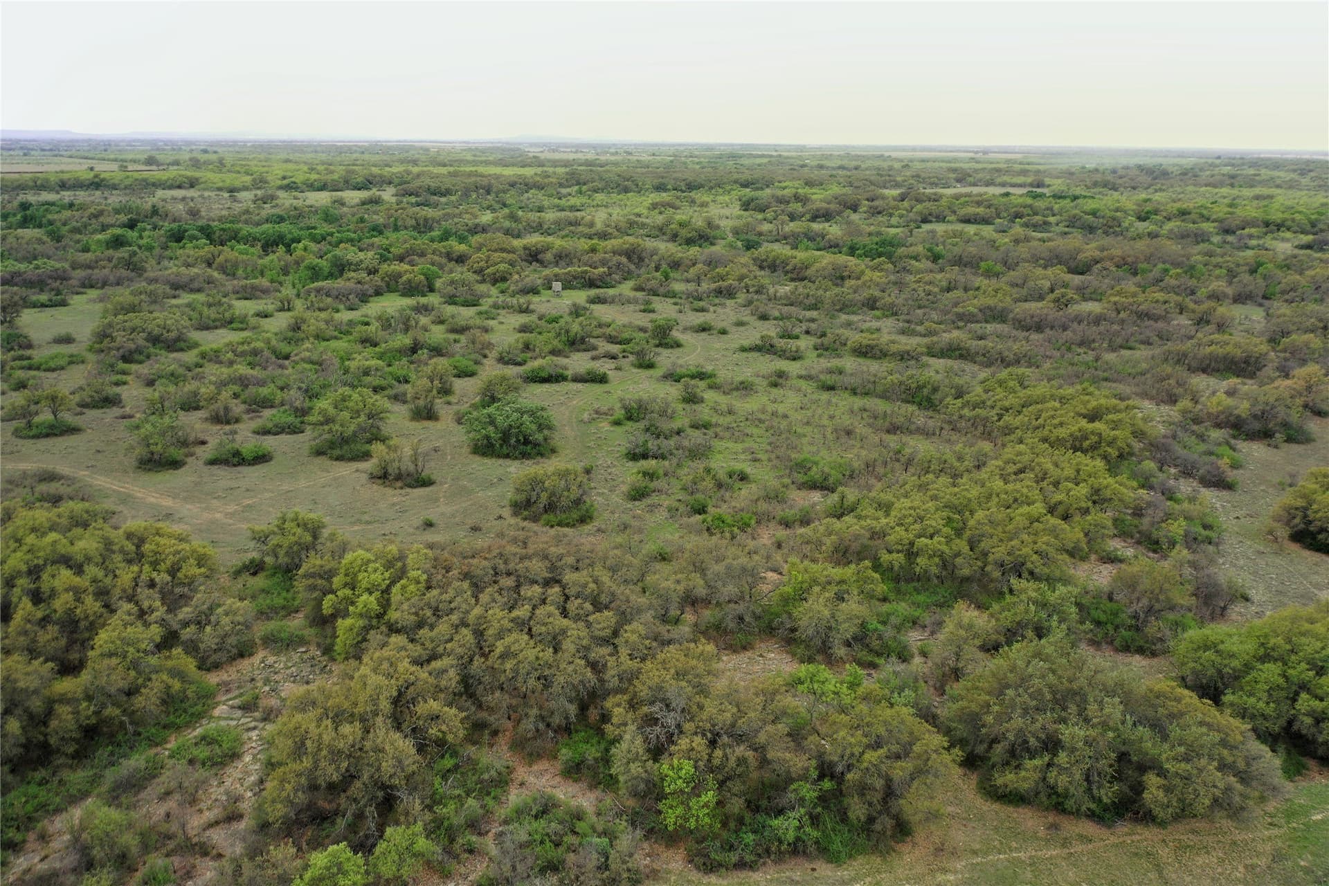 121.2 acres in Eastland County - photo 30