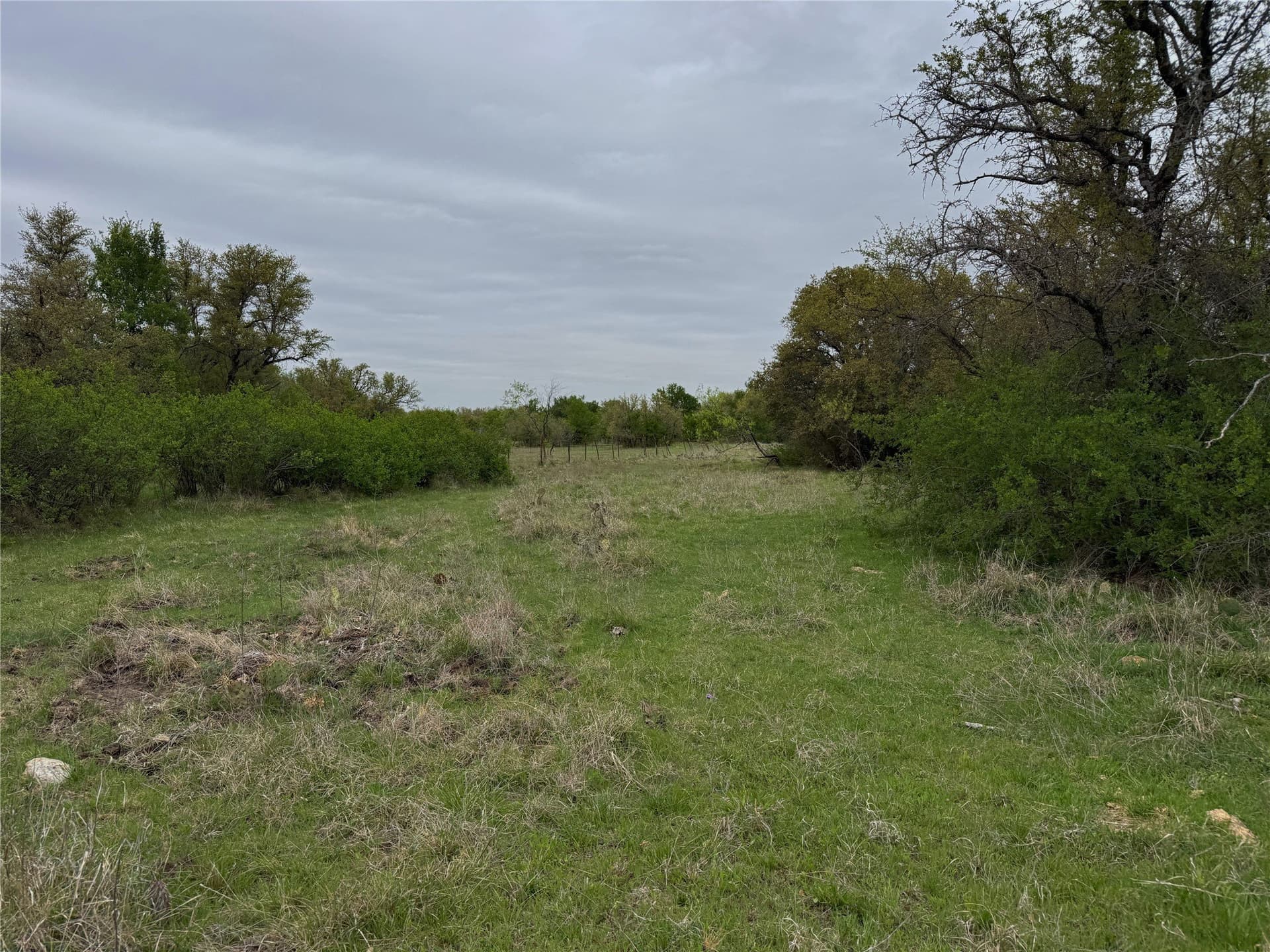 121.2 acres in Eastland County - photo 12