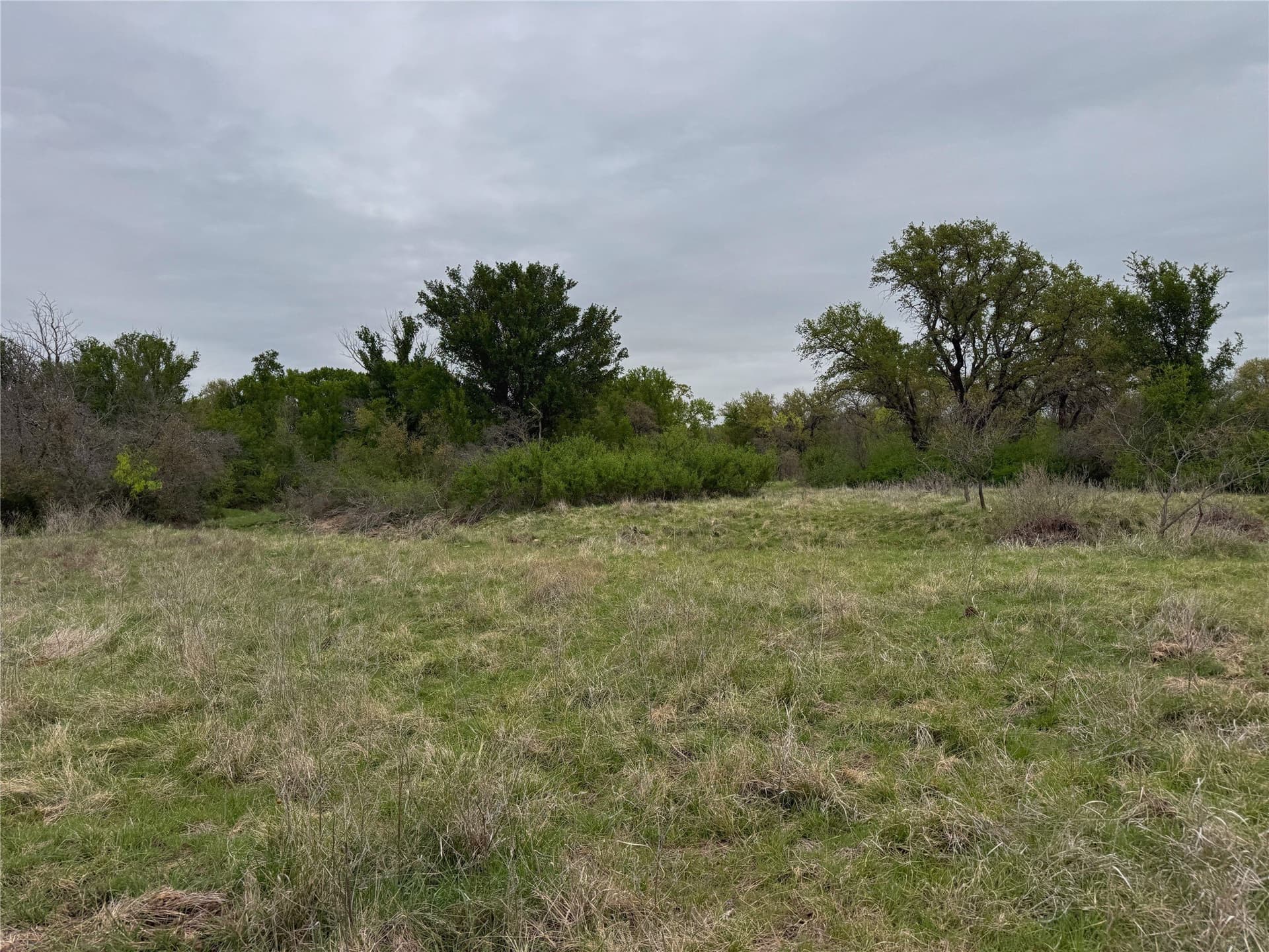 121.2 acres in Eastland County - photo 14