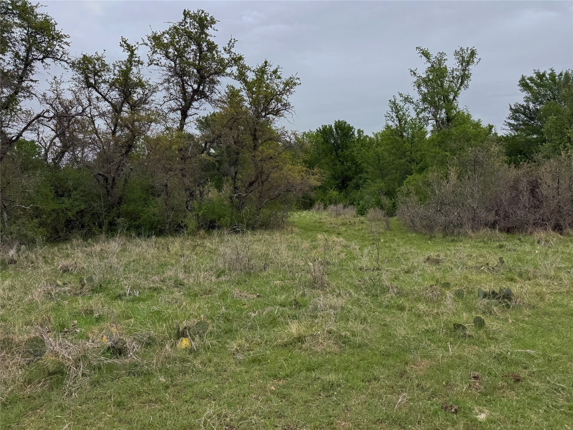 121.2 acres in Eastland County - photo 13