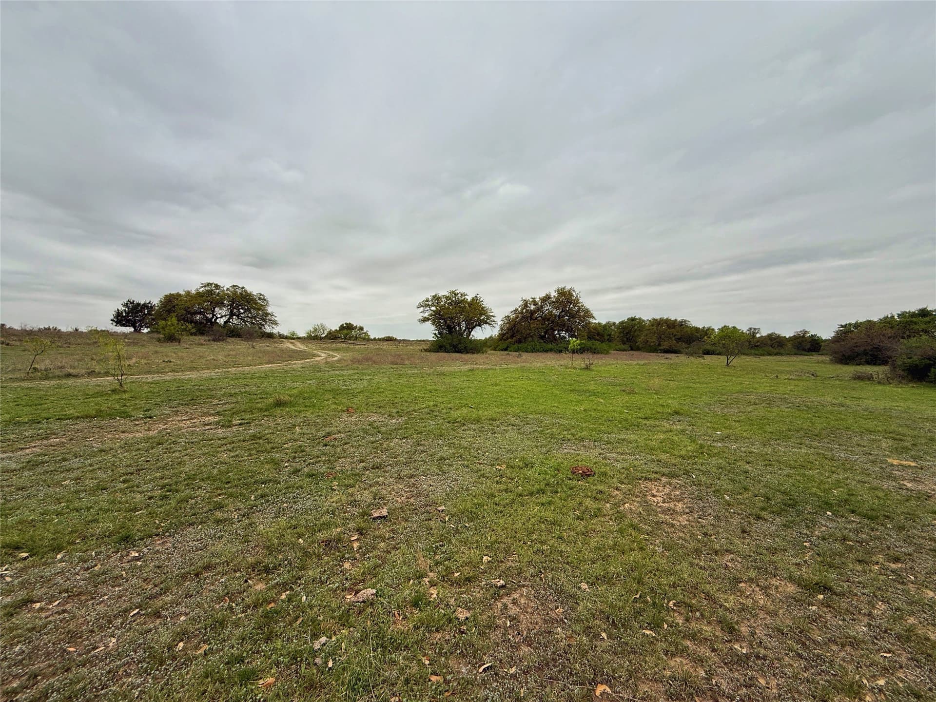 121.2 acres in Eastland County - photo 6