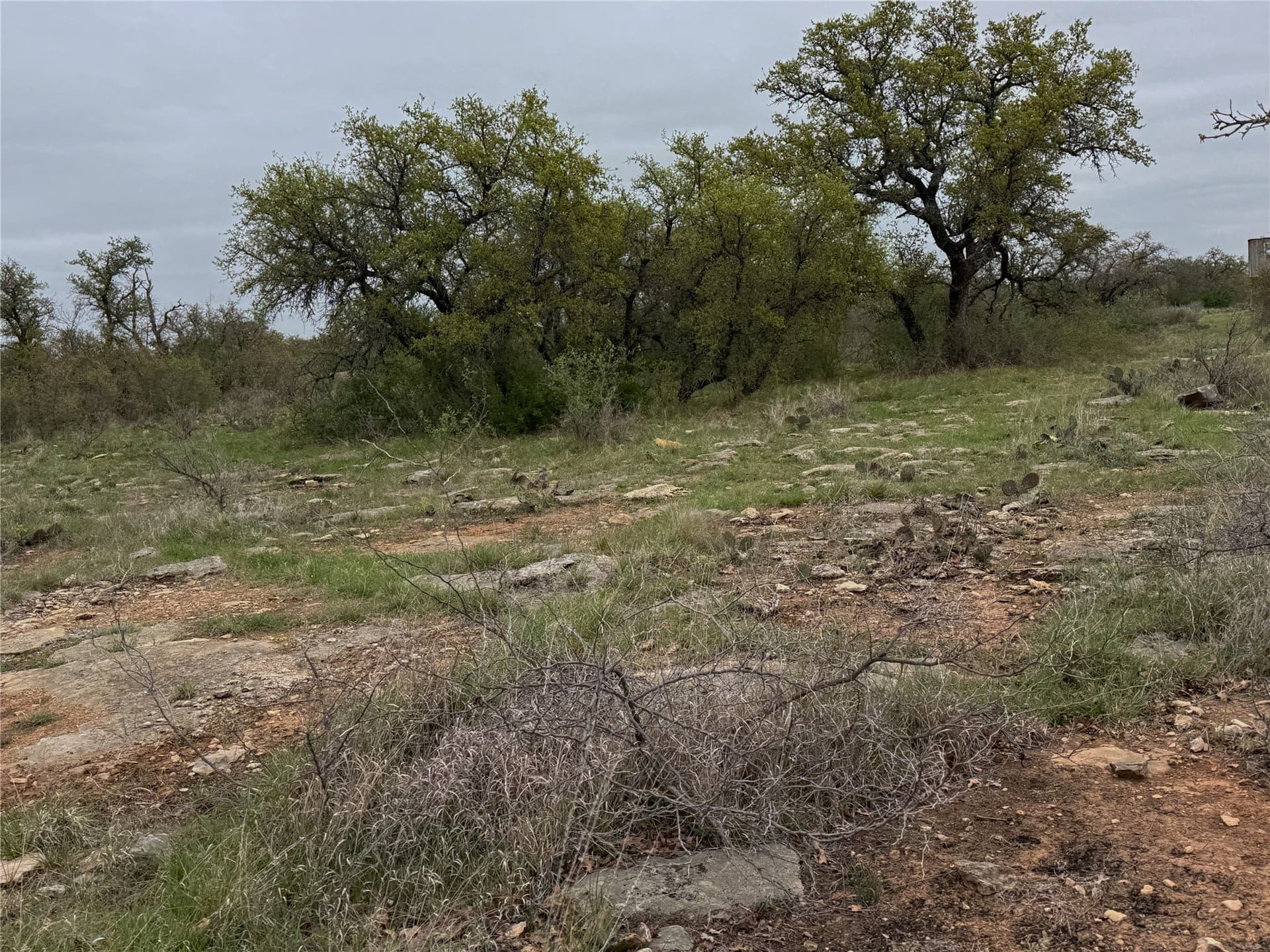 121.2 acres in Eastland County - photo 8