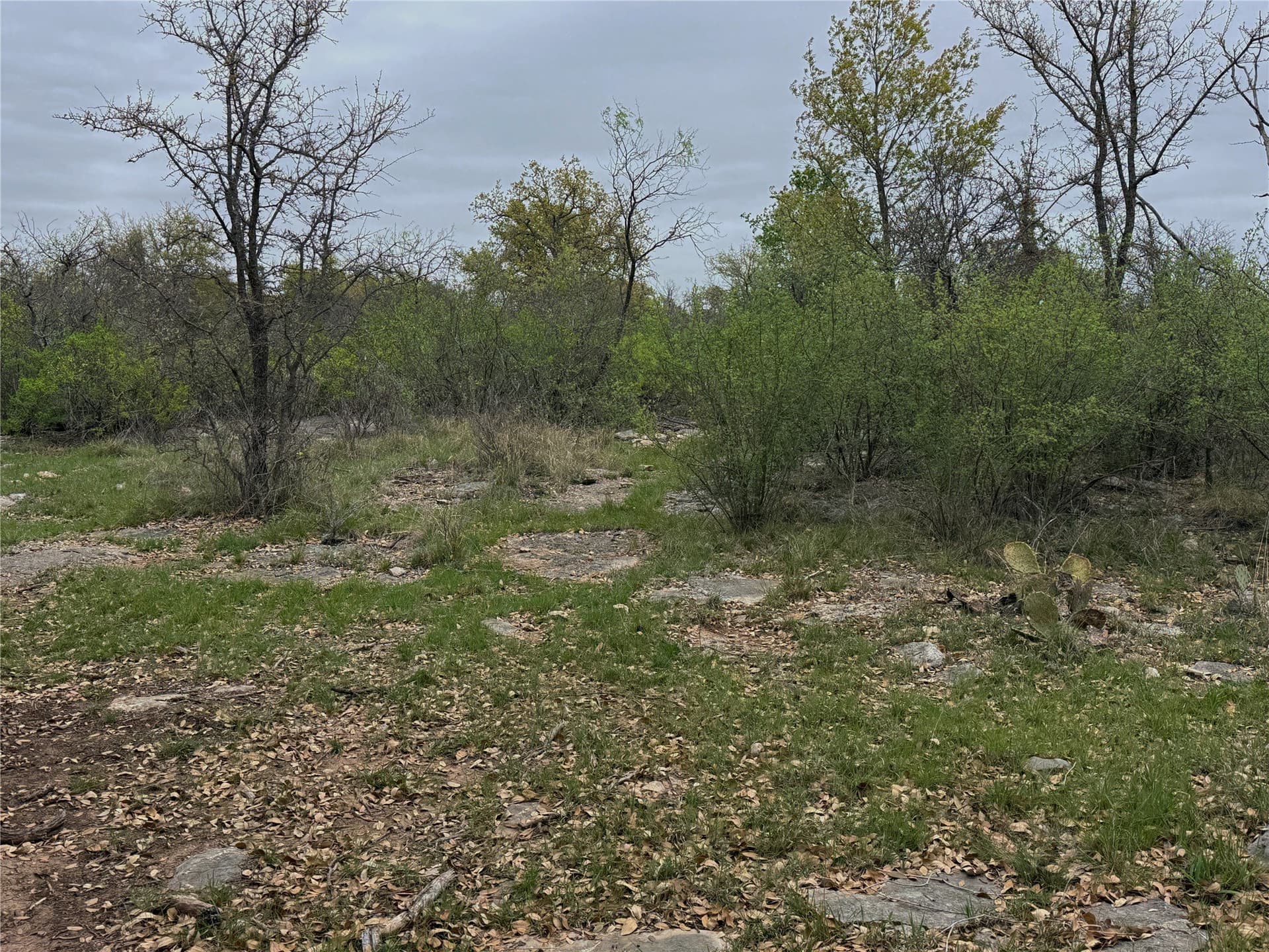 121.2 acres in Eastland County - photo 9