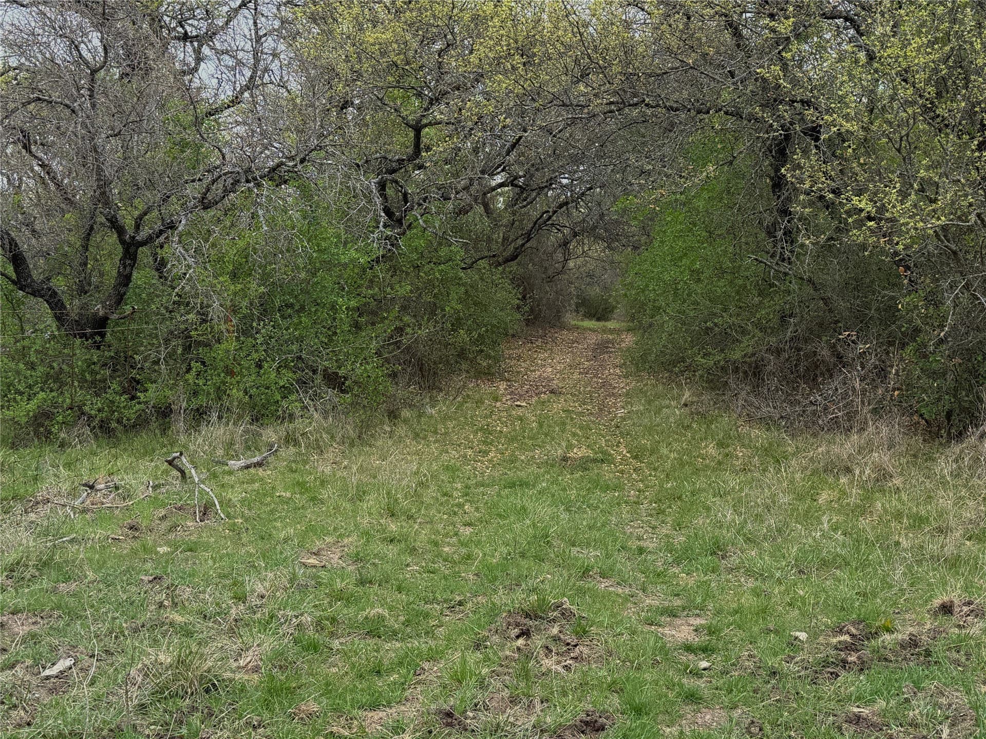 121.2 acres in Eastland County - photo 10