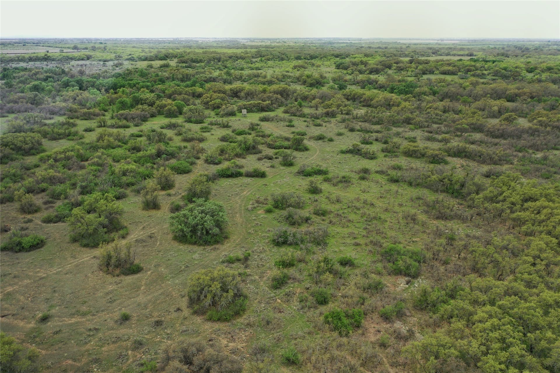 121.2 acres in Eastland County - photo 27