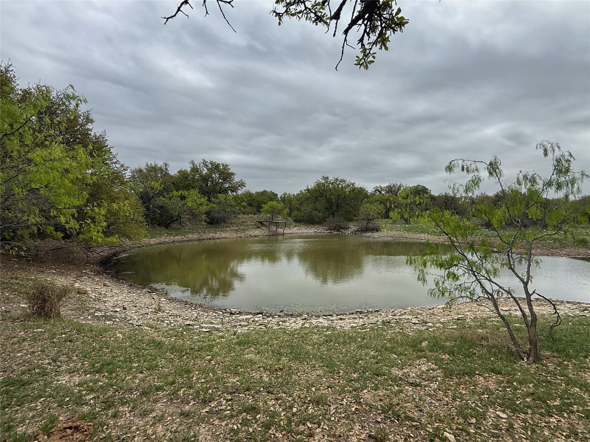 121.2 acres in Eastland County - photo 19