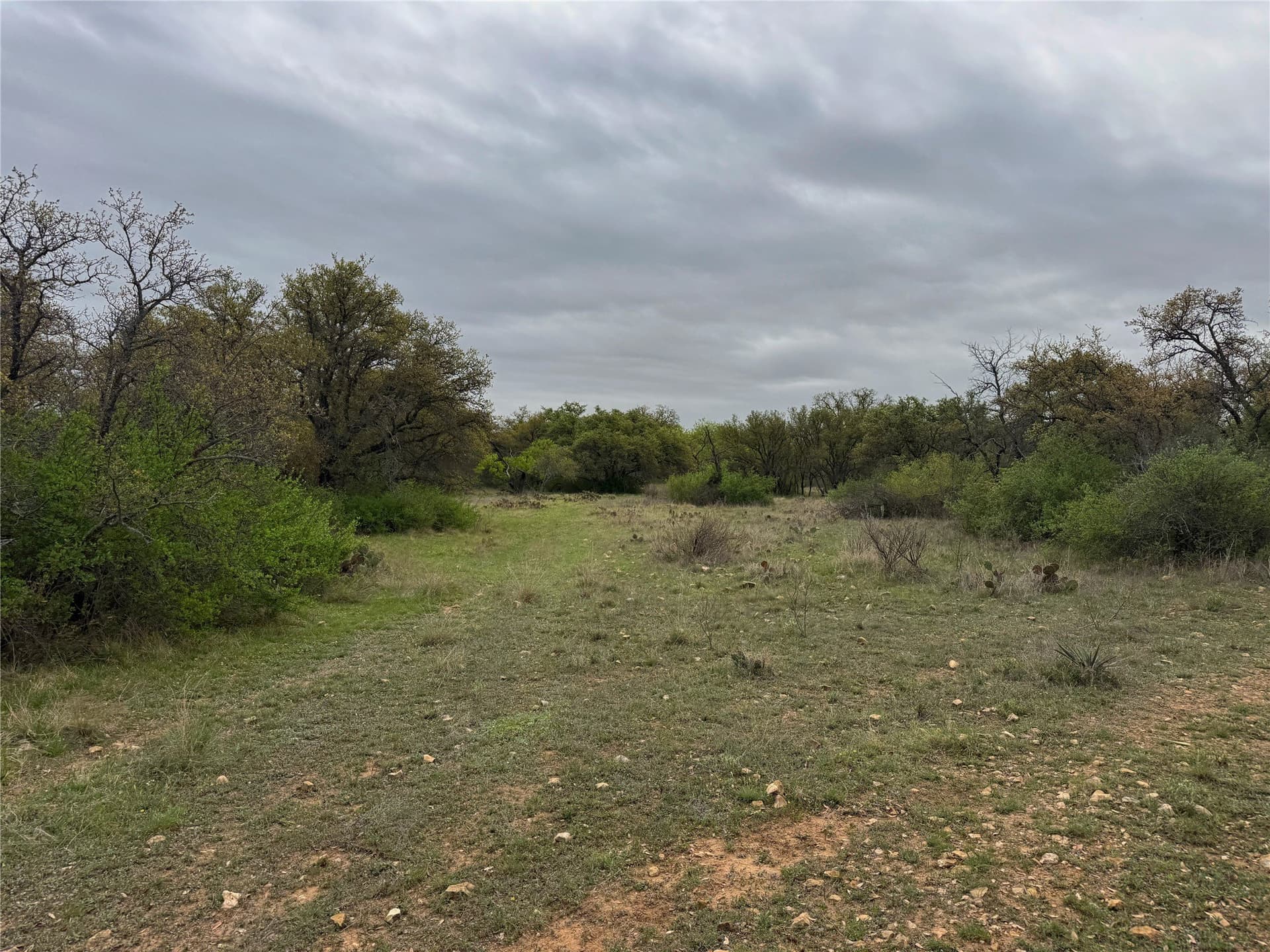 121.2 acres in Eastland County - photo 17