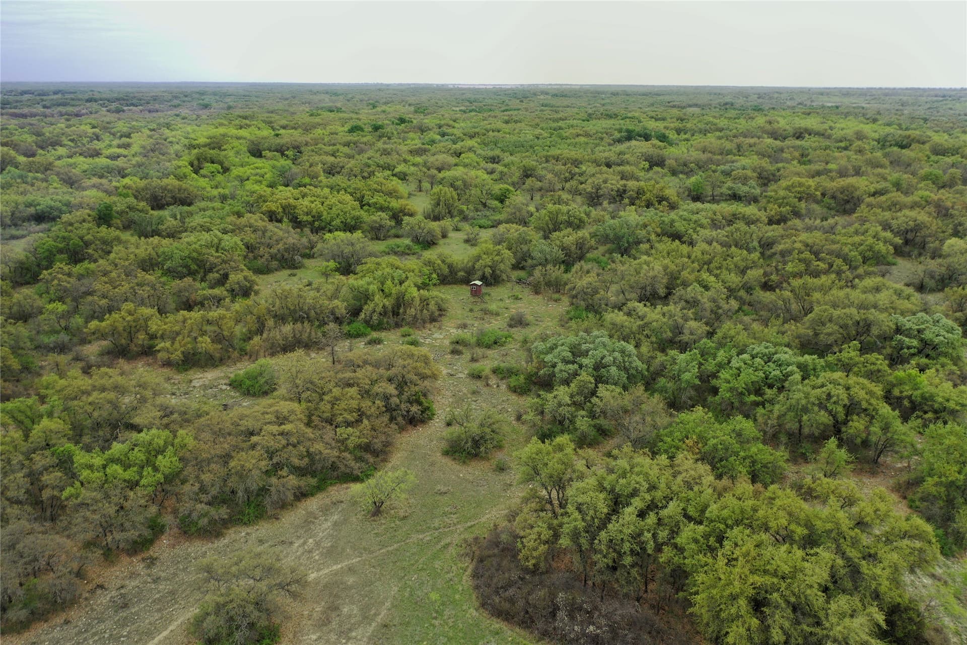 121.2 acres in Eastland County - photo 32