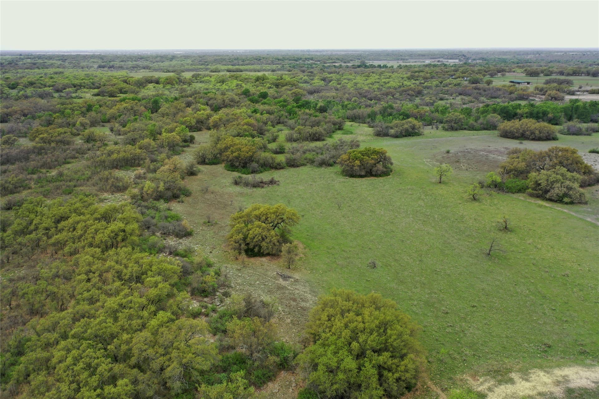 121.2 acres in Eastland County - photo 33