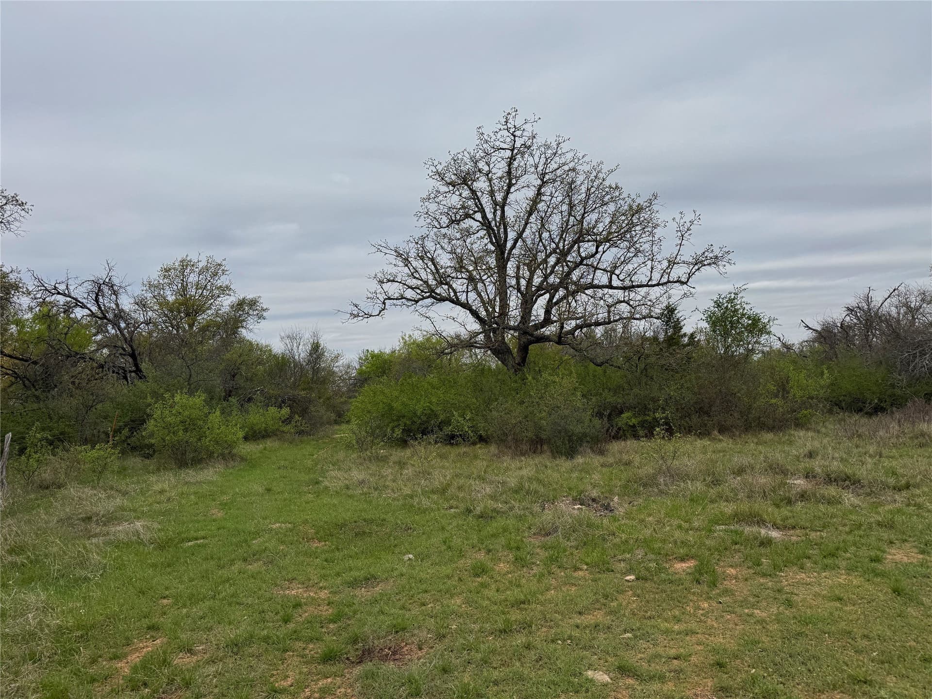 121.2 acres in Eastland County - photo 16
