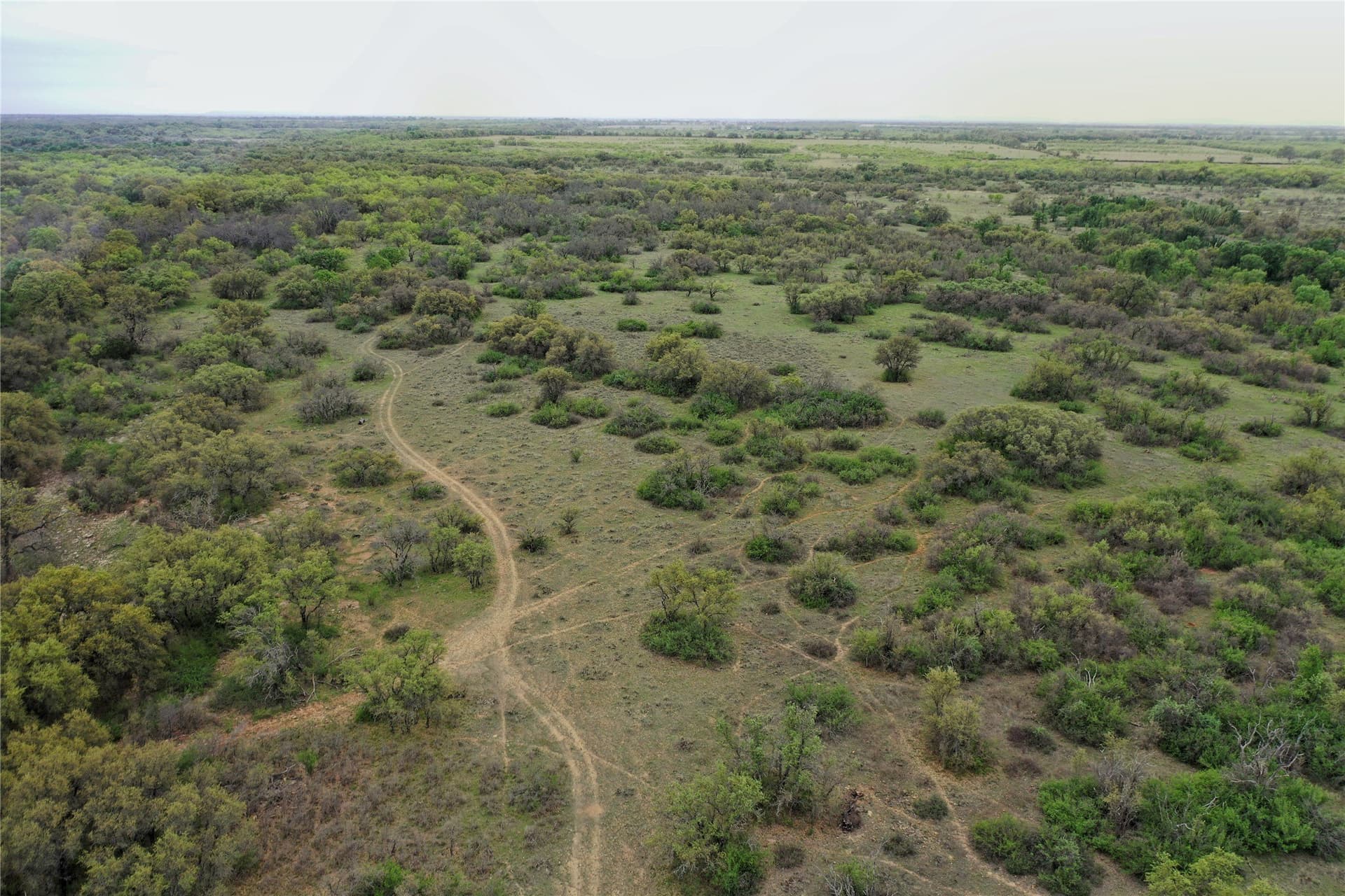121.2 acres in Eastland County - photo 26