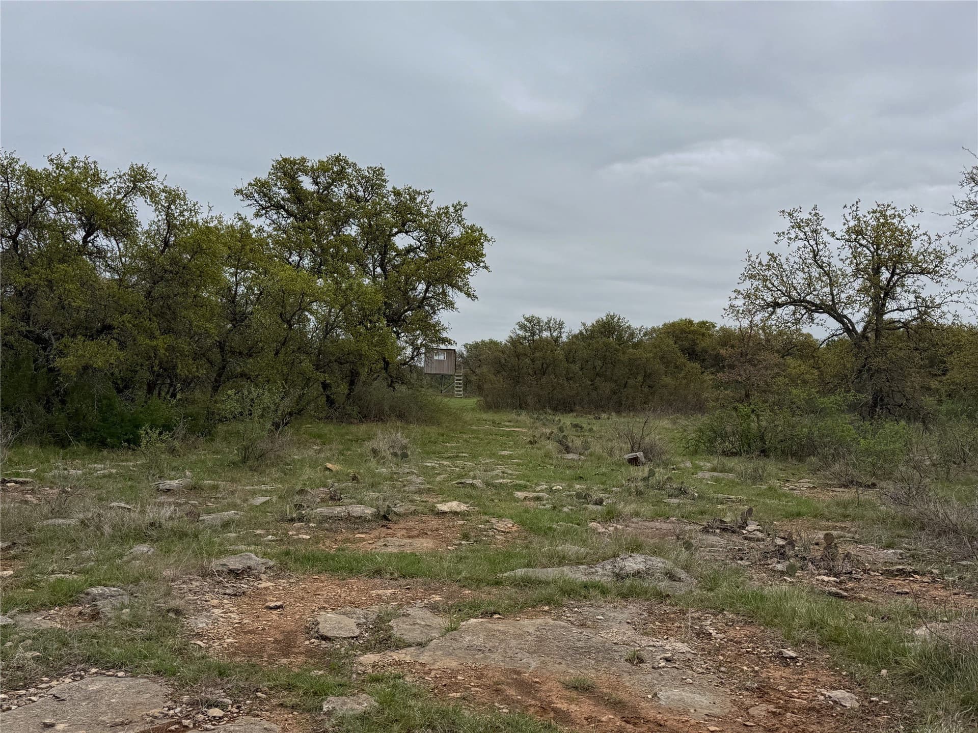 121.2 acres in Eastland County - photo 7