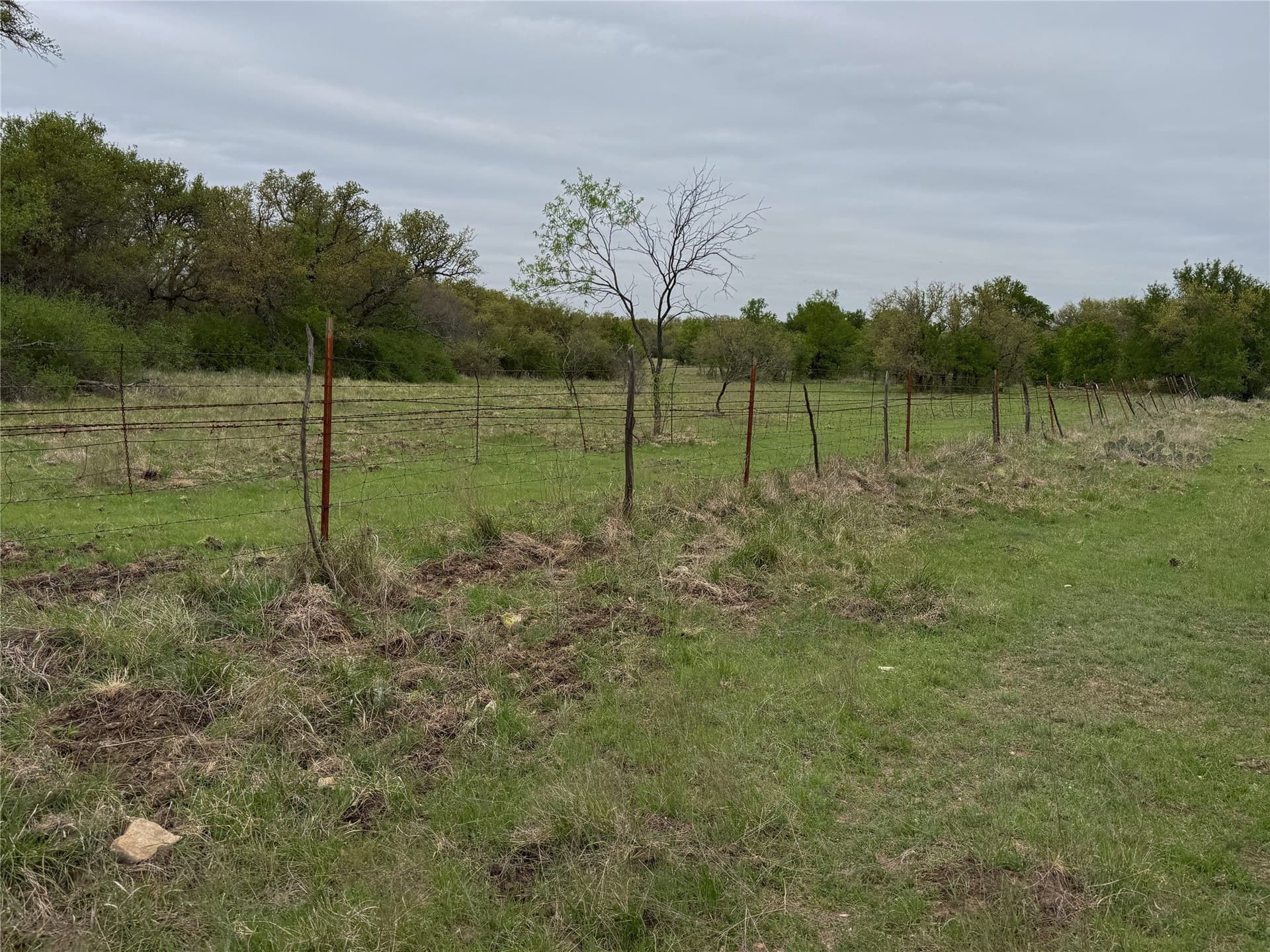 121.2 acres in Eastland County - photo 11