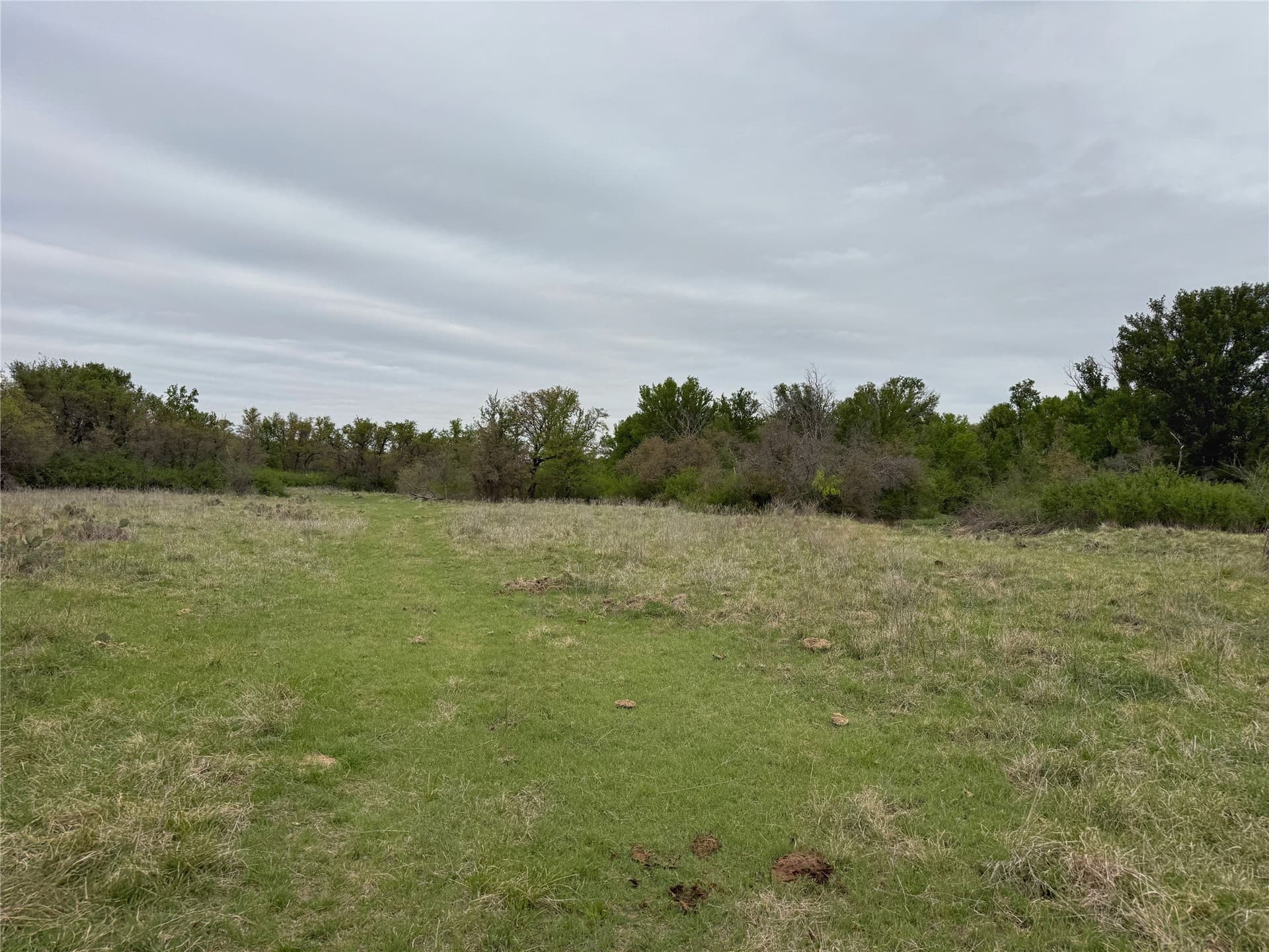 121.2 acres in Eastland County - photo 15