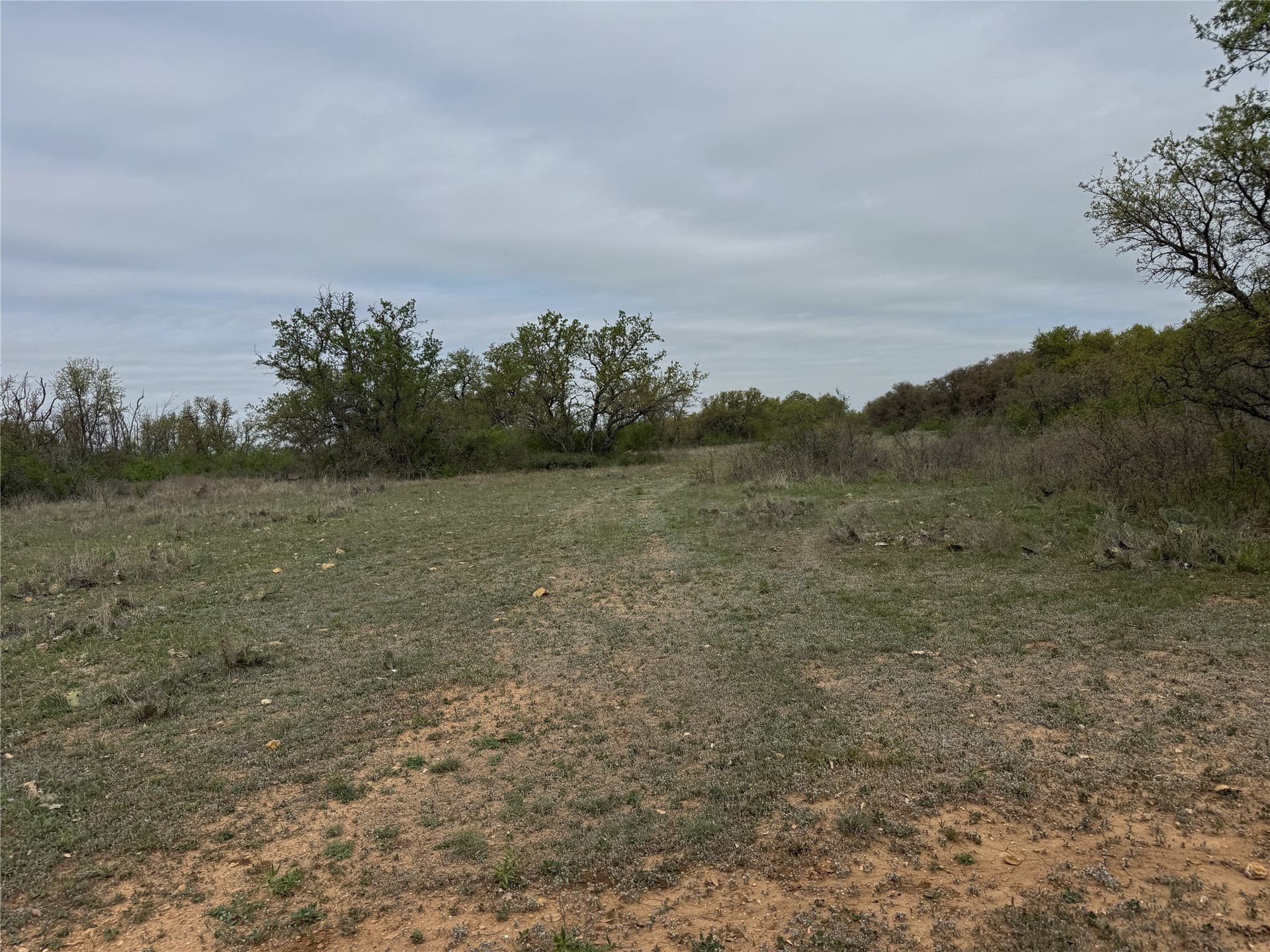 121.2 acres in Eastland County - photo 18