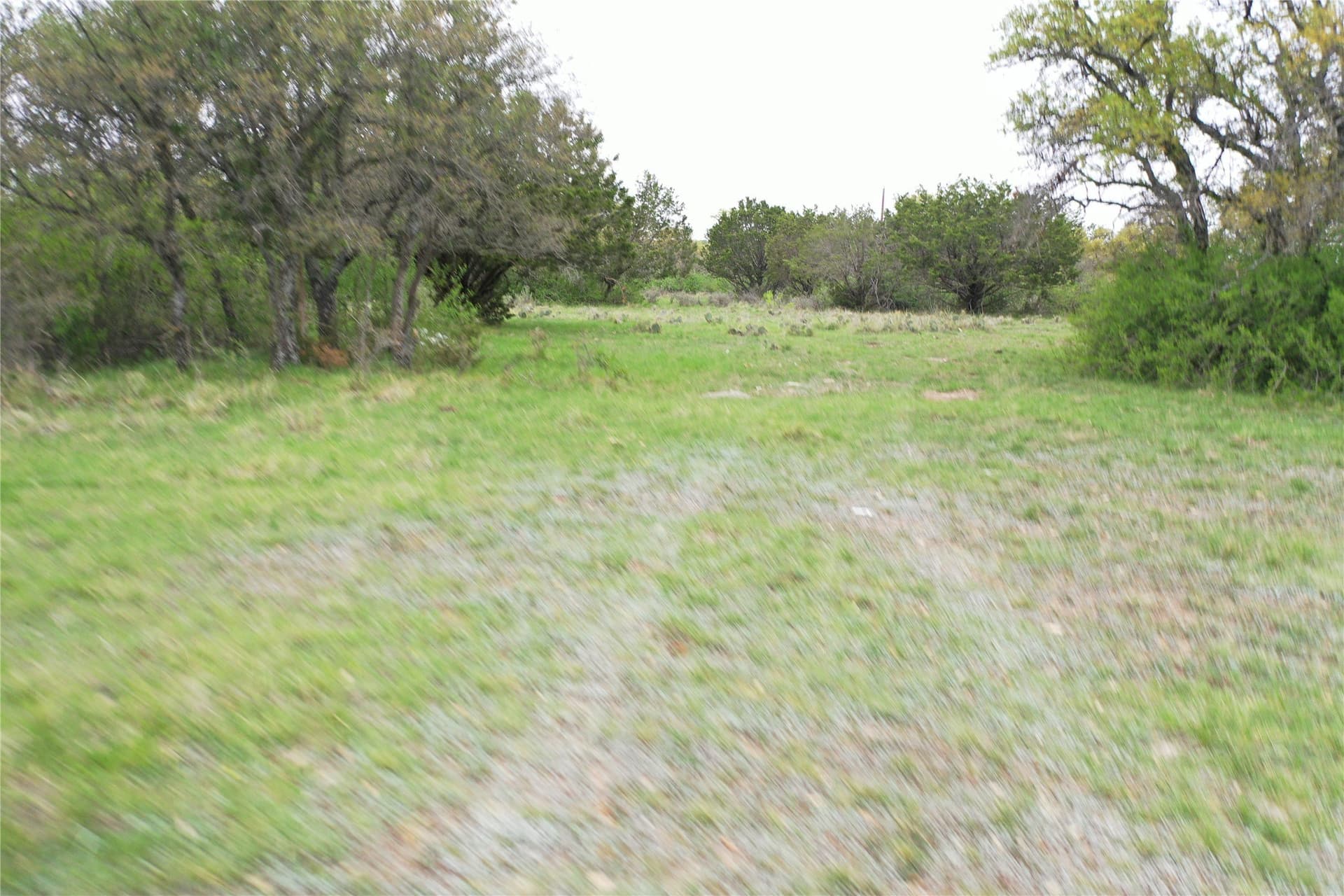 121.2 acres in Eastland County - photo 22