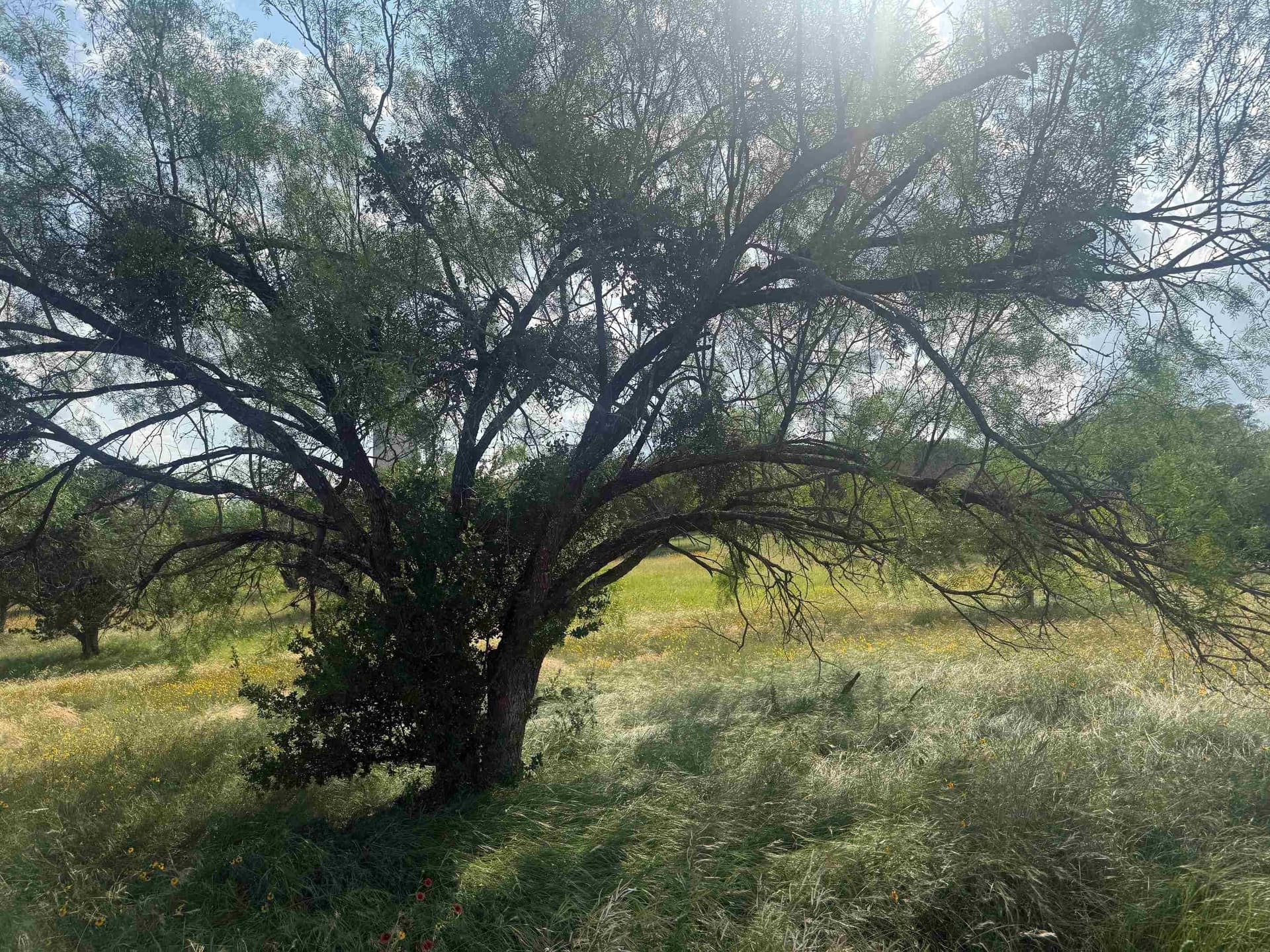 0.12 acres in Llano County