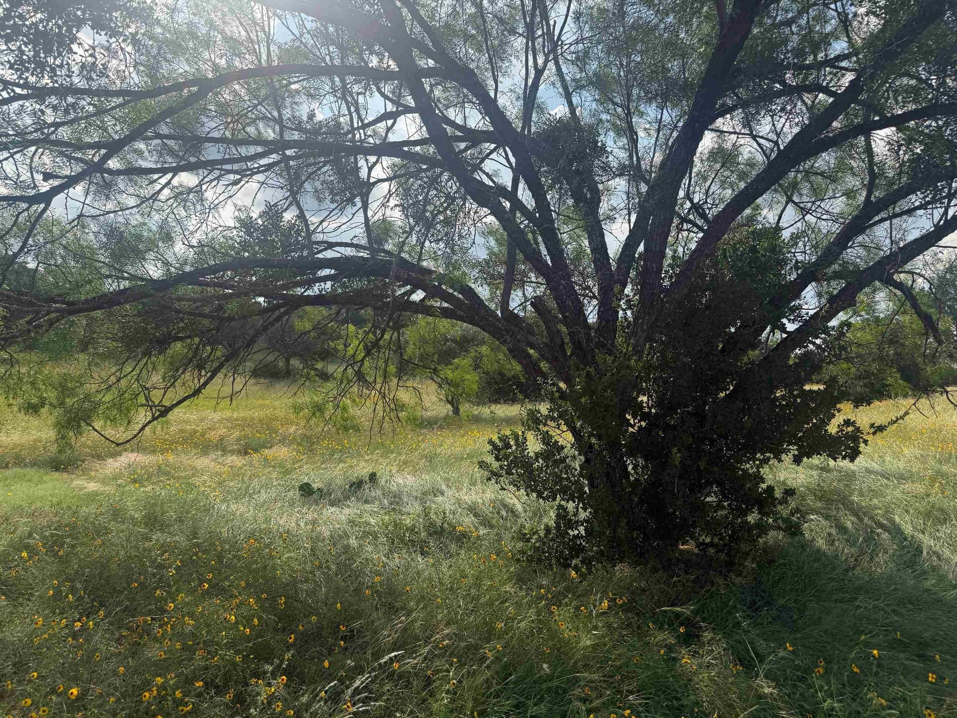 0.12 acres in Llano County gallery image 3