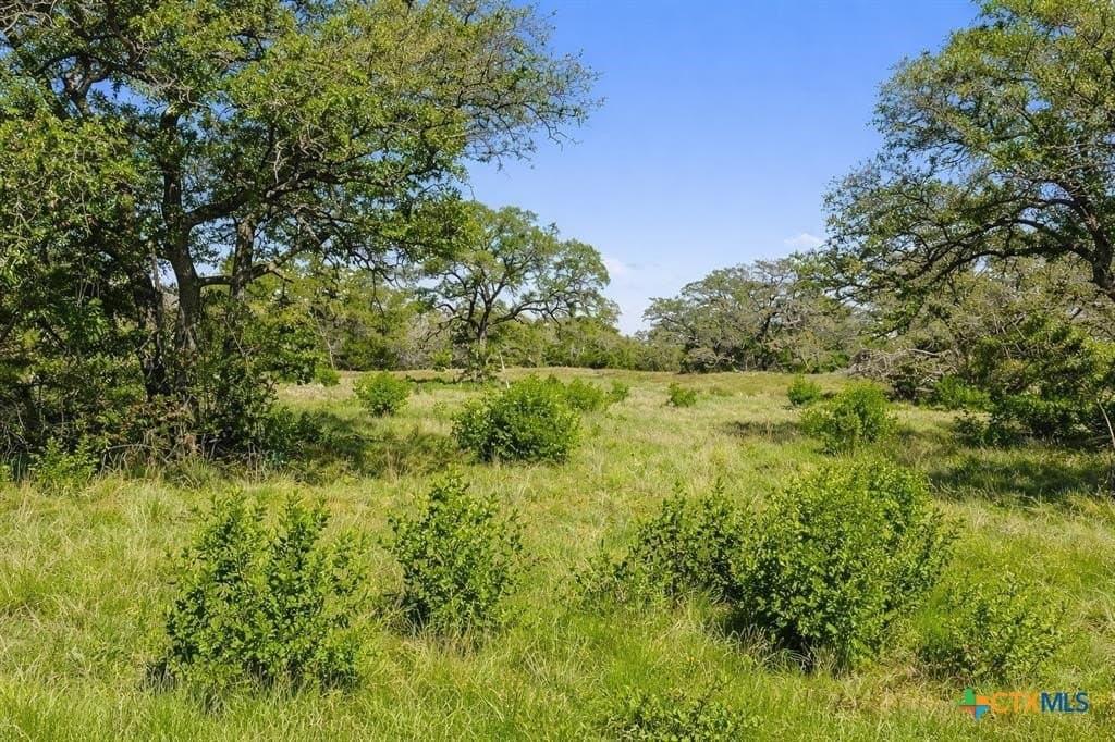 27.15 acres in Blanco County featured view